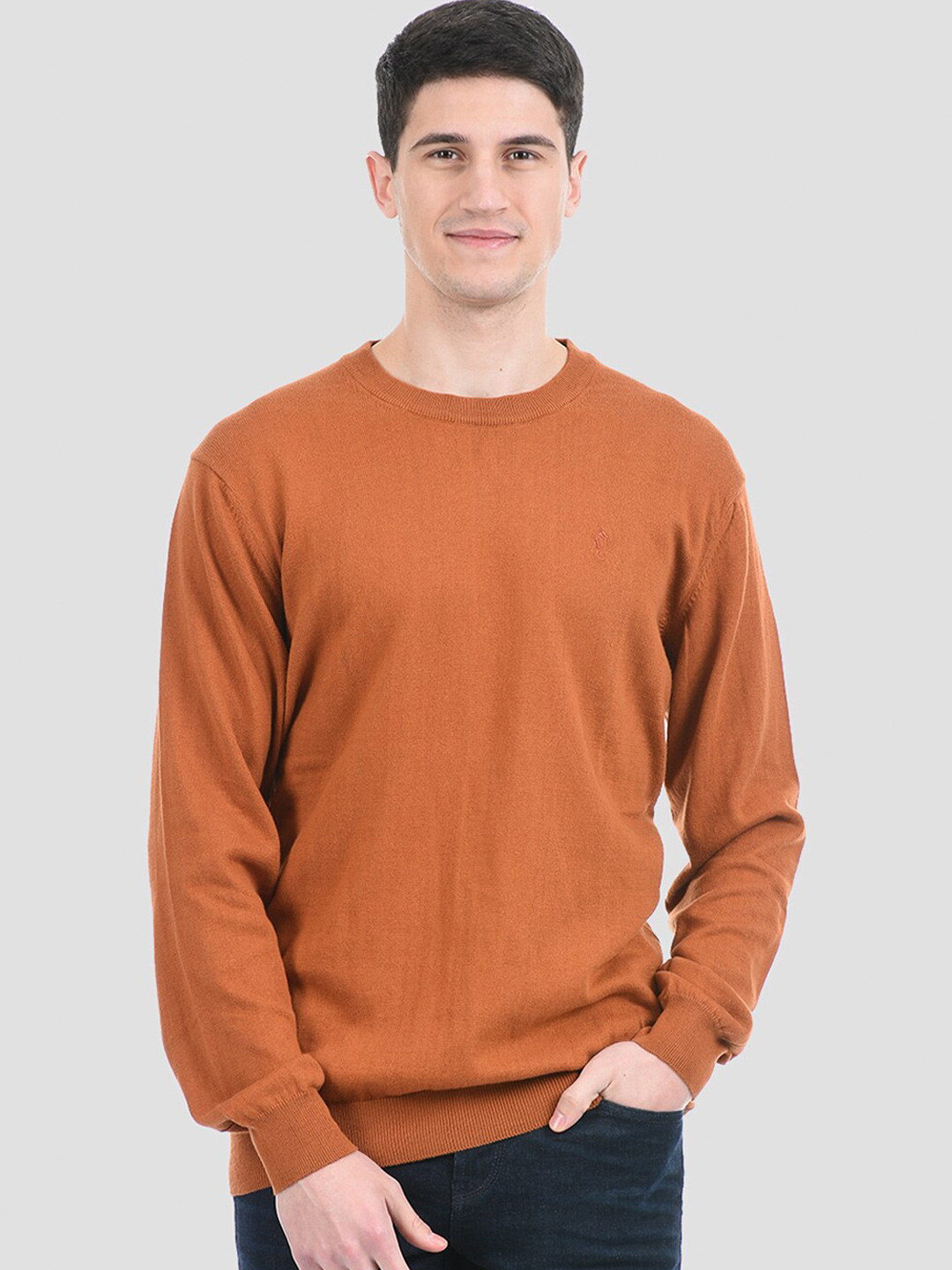 

PORTOBELLO Men Brown Cotton Pullover