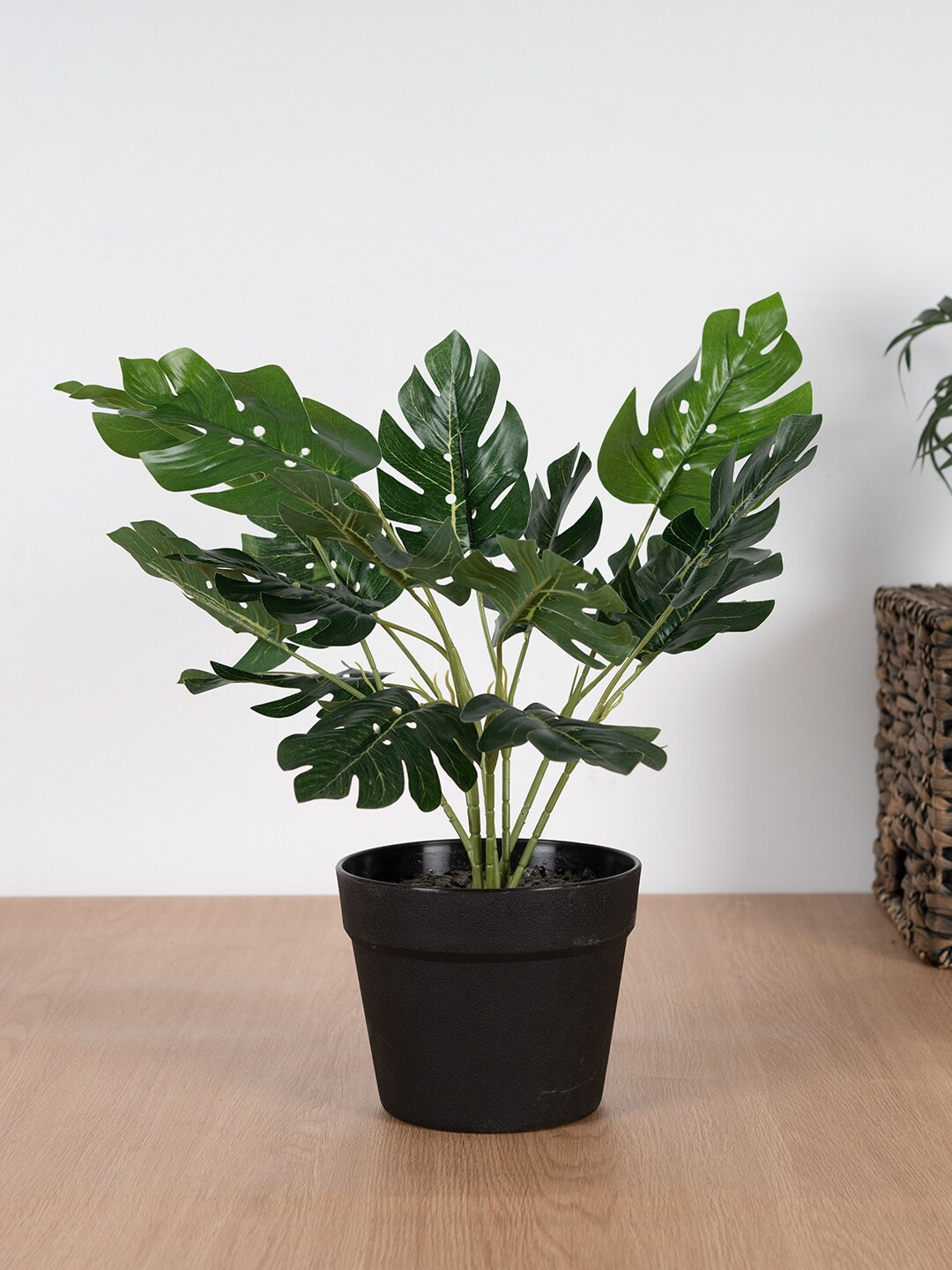 

HomeTown Green & Black Monstera Potted Plant
