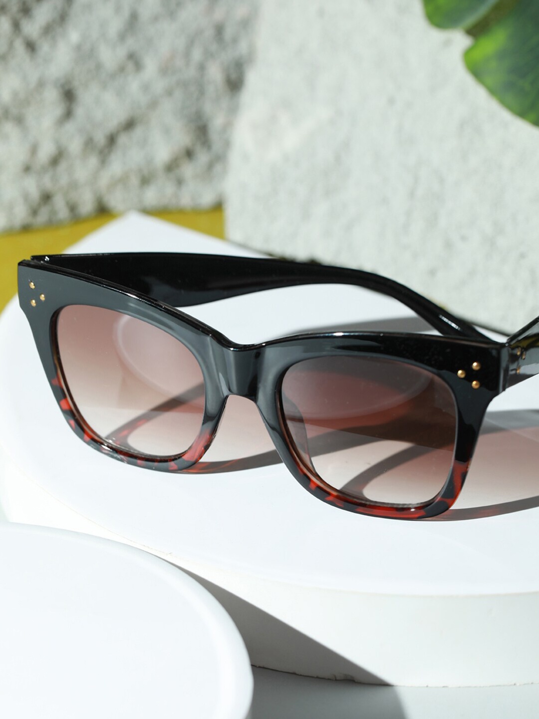 

Jazz and Sizzle Women Brown Lens & Brown UV Protected Lens Browline Sunglasses