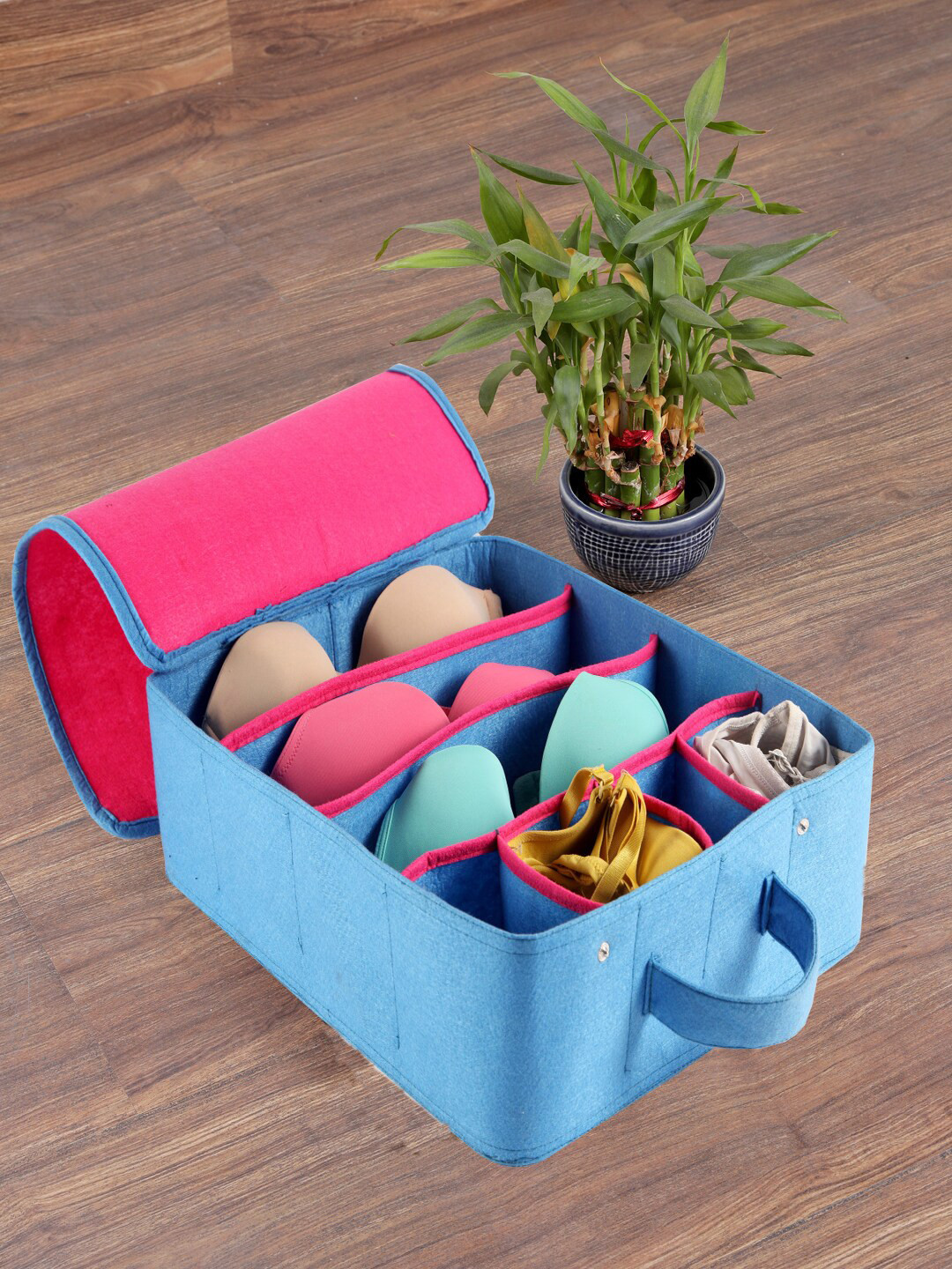 

My Gift Booth Pink & Blue Solid Foldable Medium Size Lingerie Organizer