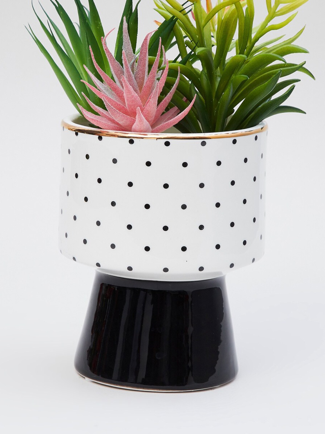 

Home Centre Black & White Polka Dot Printed Ceramic Planter