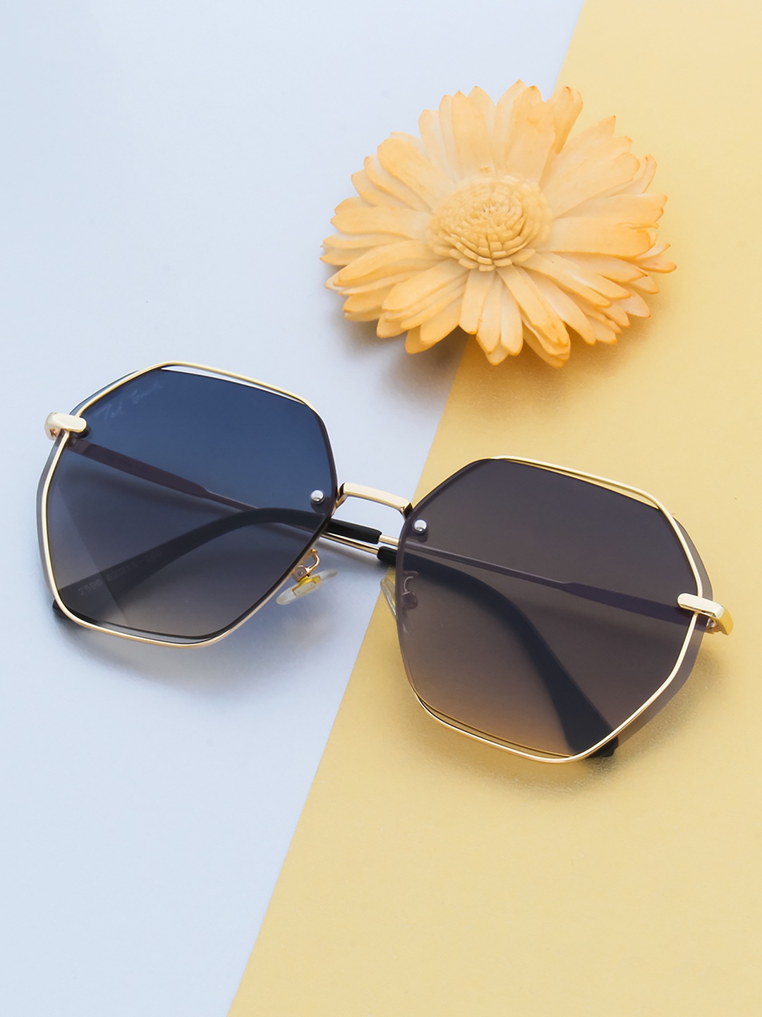 

Ted Smith Unisex Grey Lens & Gold-Toned Oversized Sunglasses with UV Protected Lens