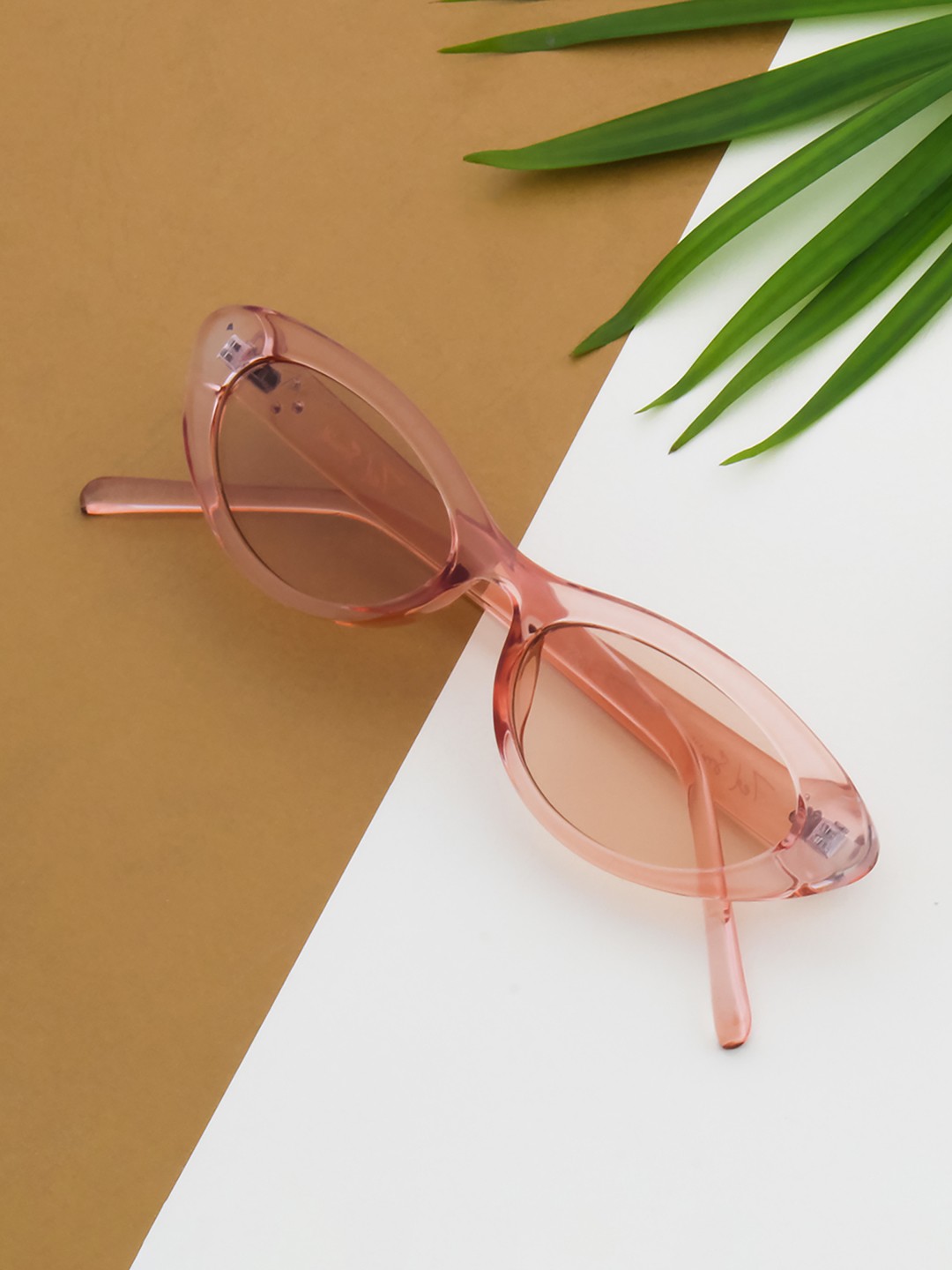 

Ted Smith Women Brown Lens & Brown Cateye Sunglasses with UV Protected Lens
