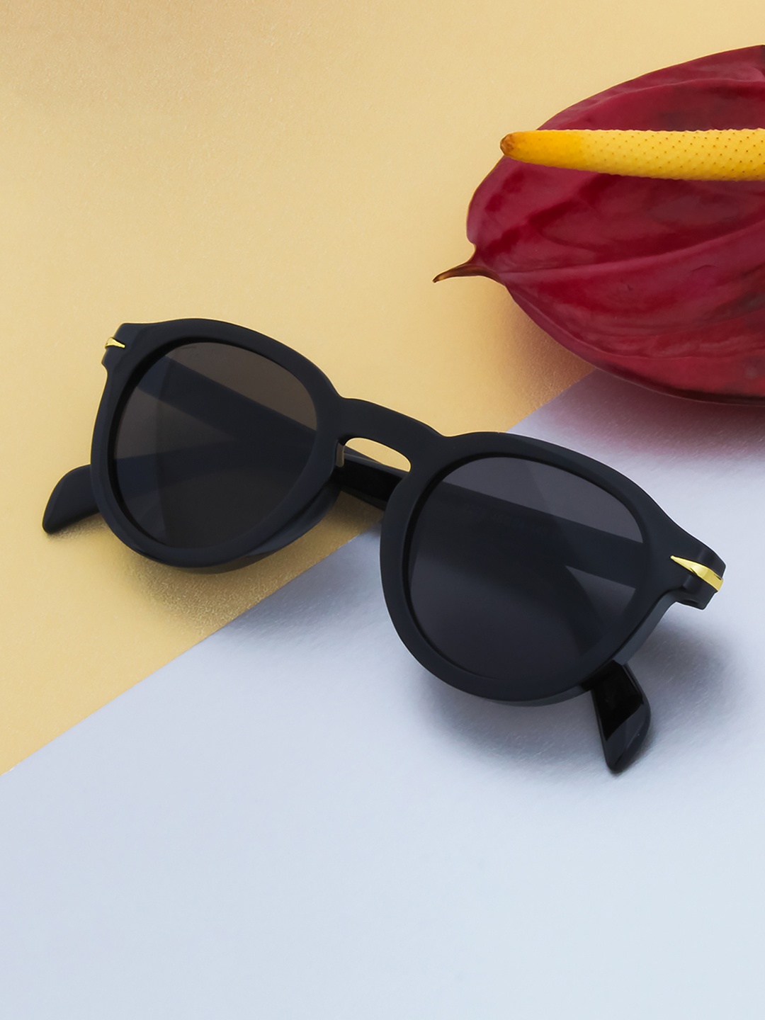 

Ted Smith Unisex Grey Lens & Black Round Sunglasses with UV Protected Lens-MONSKY_C1