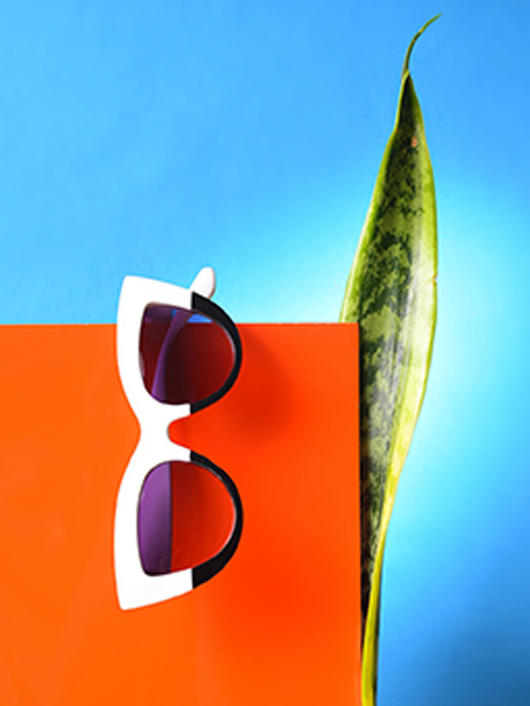 

HAUTE SAUCE by Campus Sutra Women Purple Lens & White & Black Cateye Sunglasses