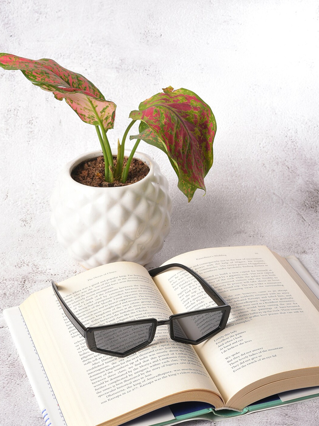 

HAUTE SAUCE by Campus Sutra Women Grey Lens & Black Other Sunglass SS22_HSSG1009