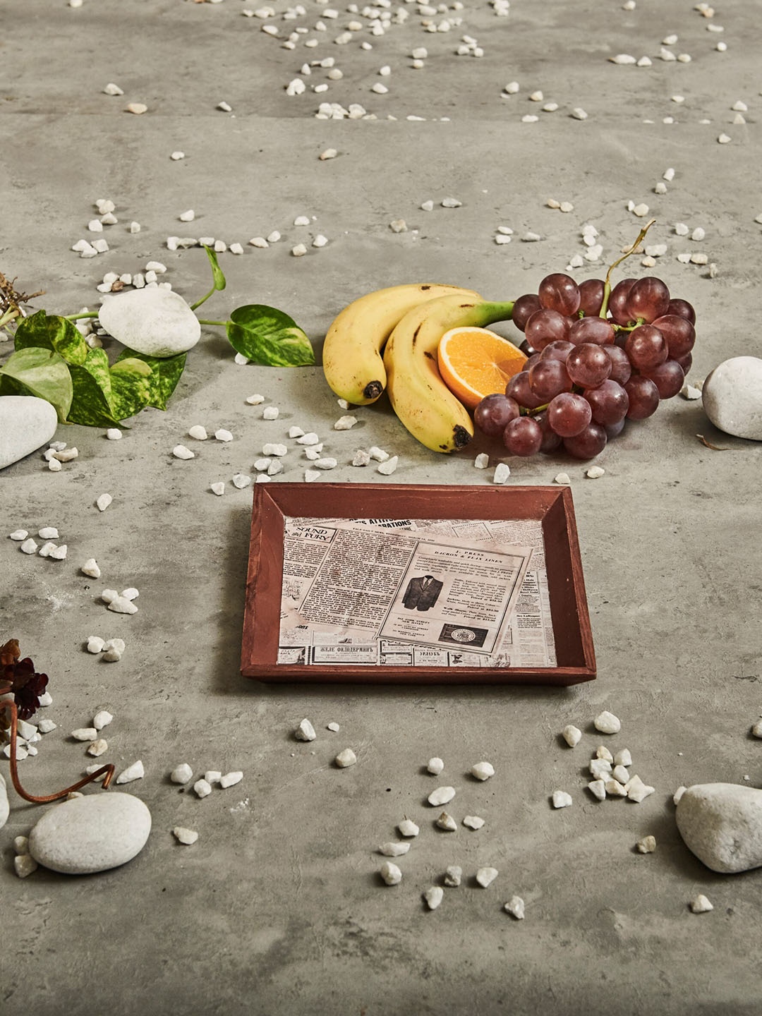 

A Tiny Mistake White & Brown Printed Tray