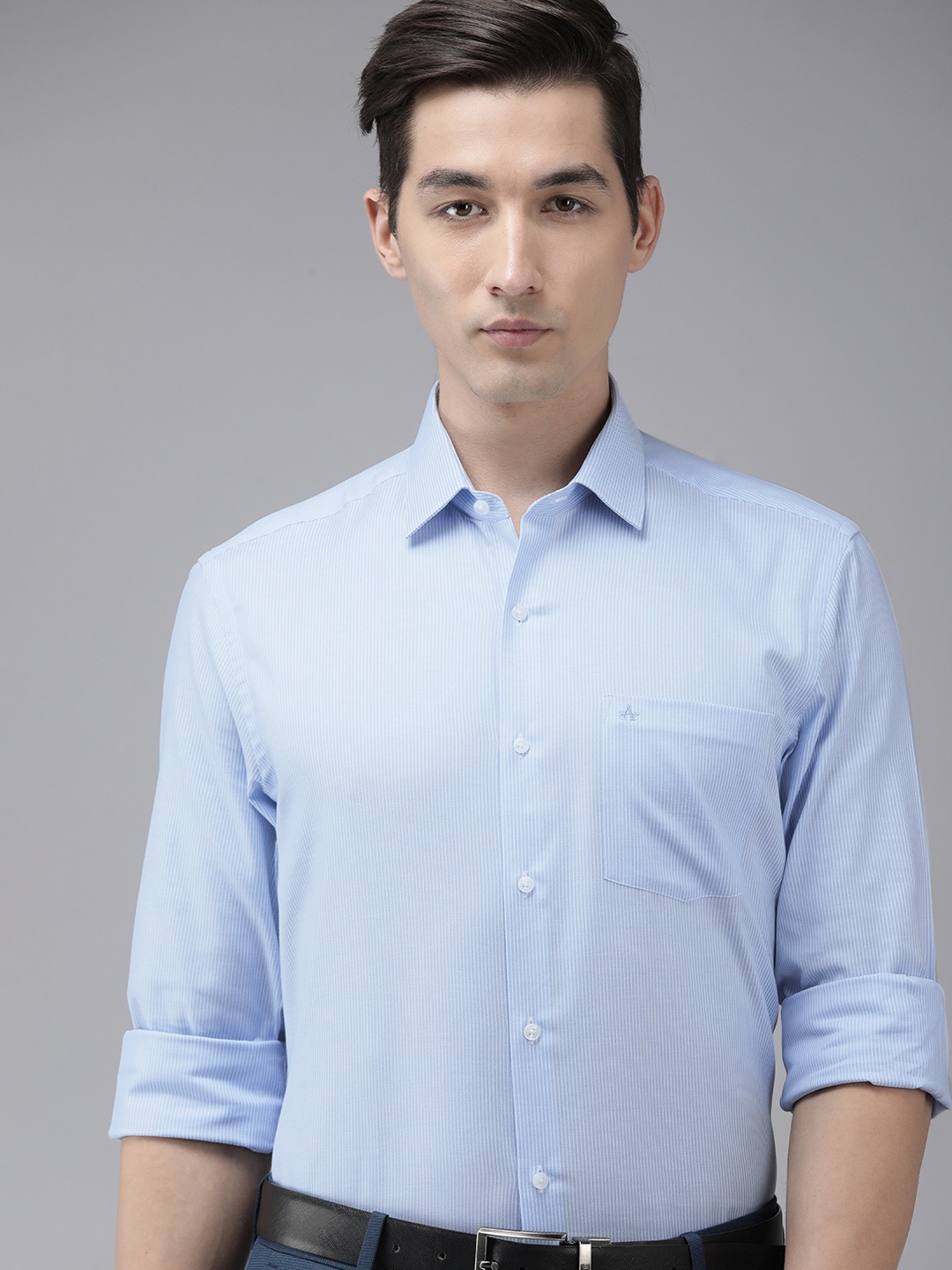 

Arrow Men Blue And White Original Striped Slim Fit Formal Shirt