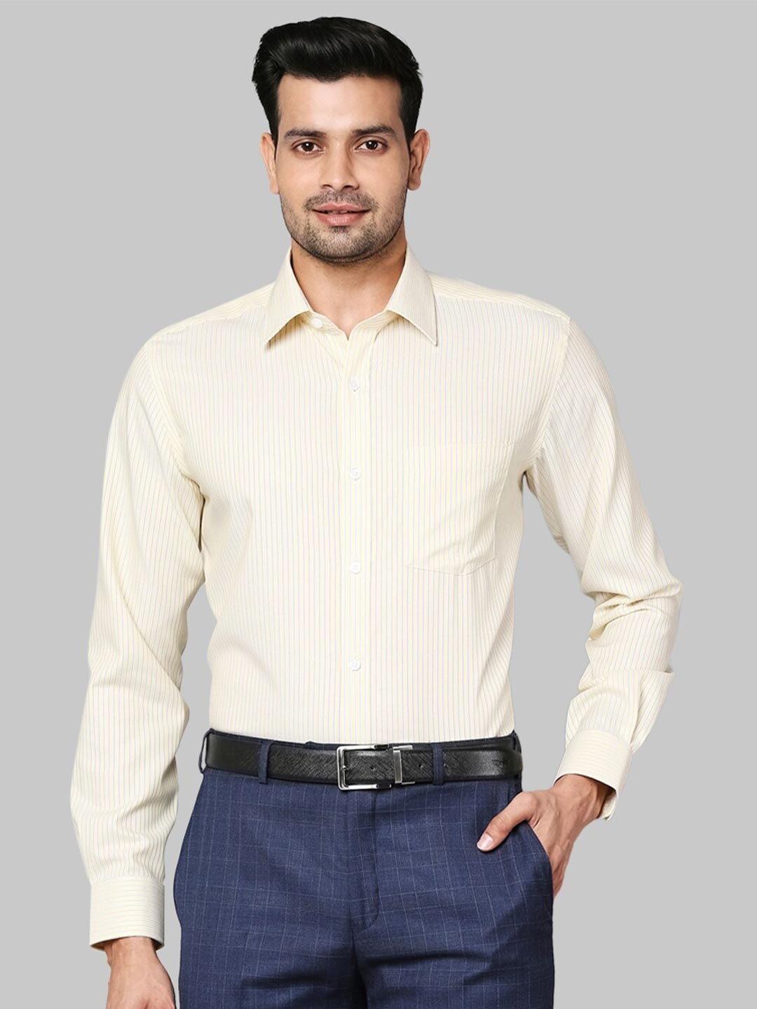 

Park Avenue Men Yellow Regular Fit Formal Shirt