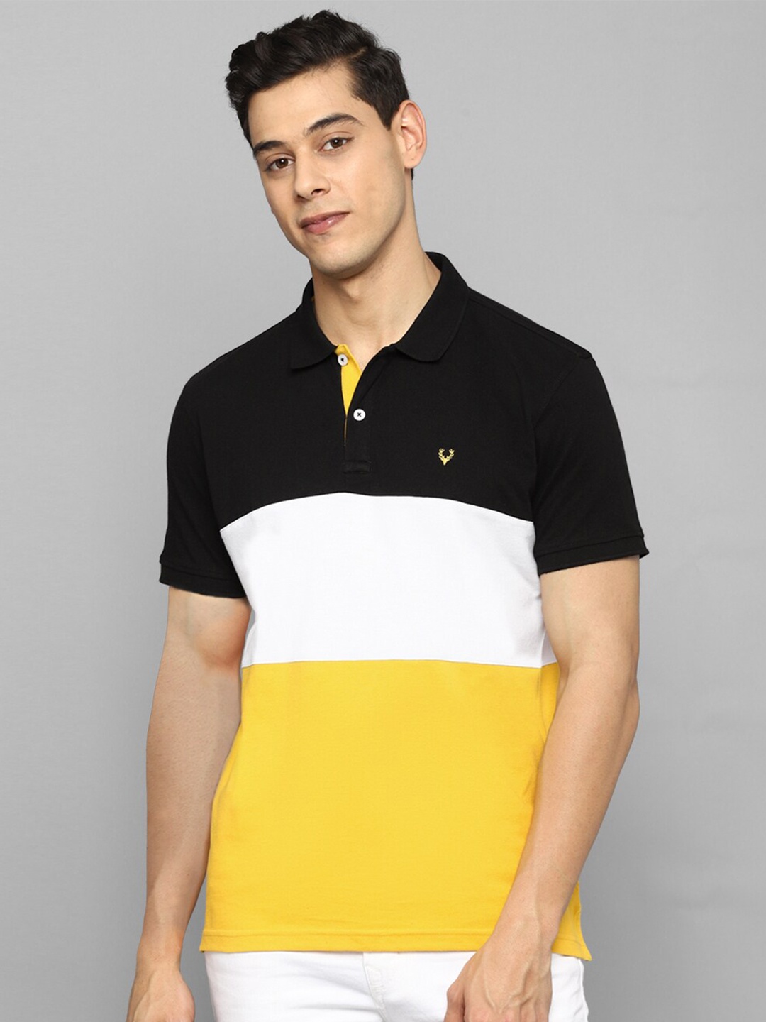 

Allen Solly Men Black & White Colourblocked Polo Collar T-shirt