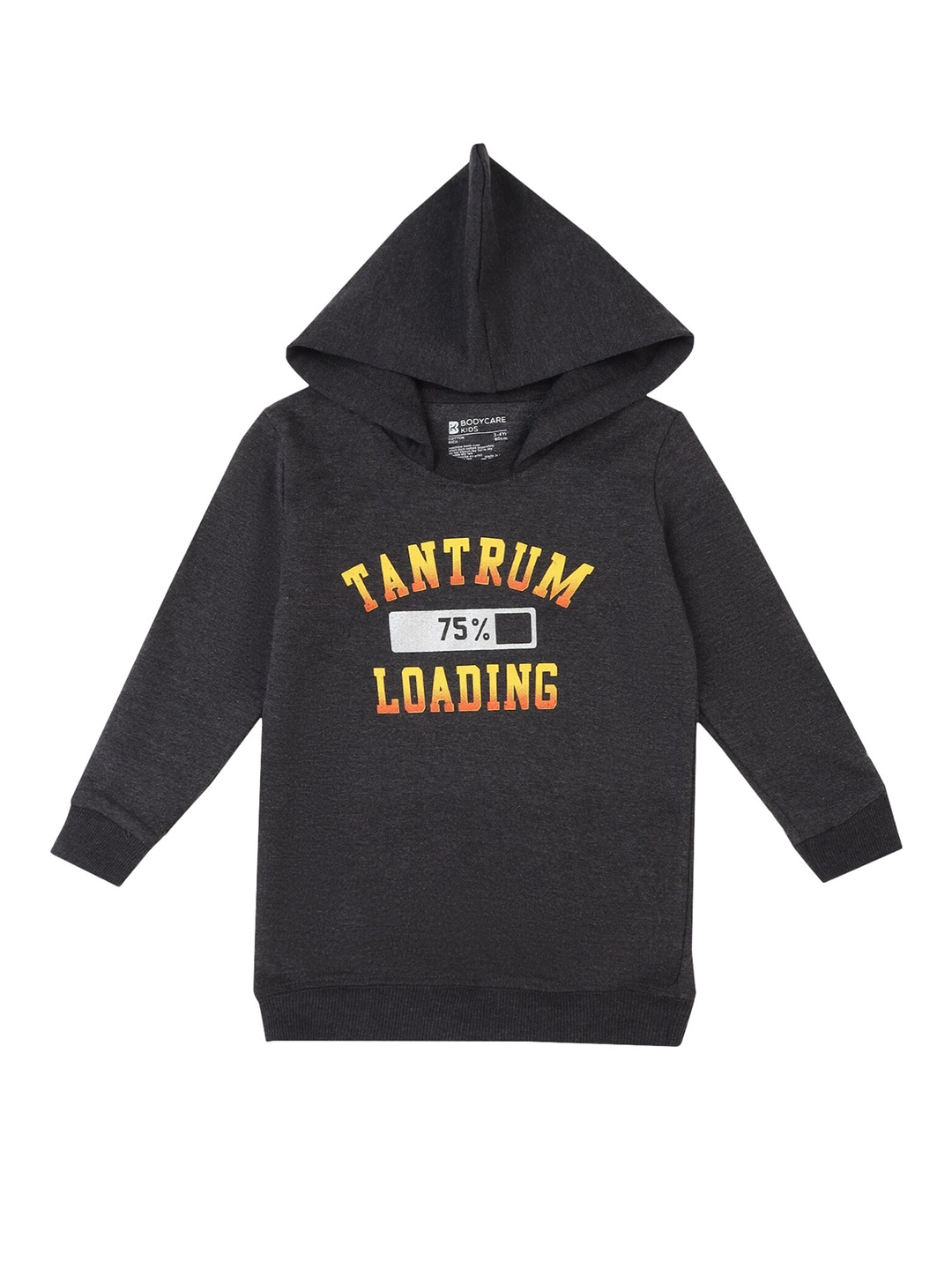 

Bodycare Kids Boys Grey Melange Printed Cotton Sweatshirt