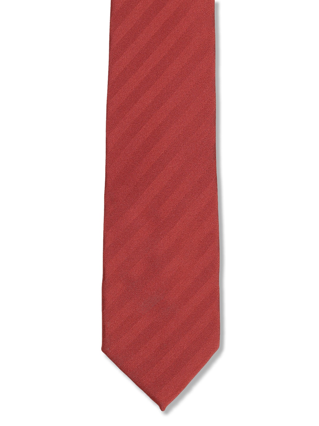 

Arrow Men Rust Printed Skinny Tie