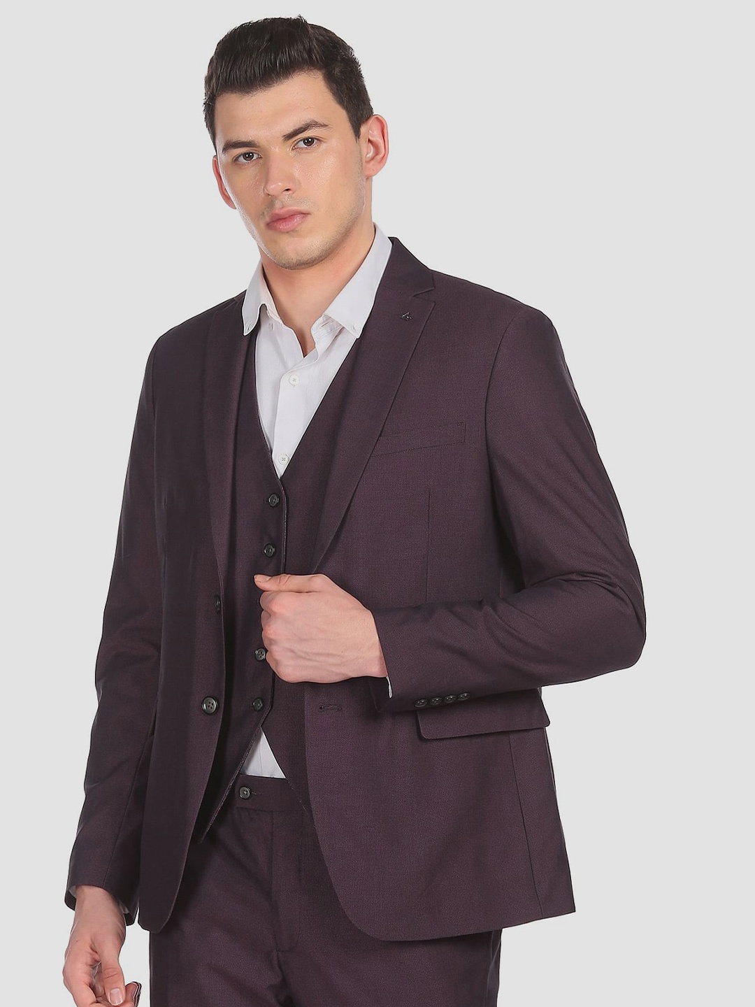 

Arrow Men Purple Solid Single-Breasted Formal Suit