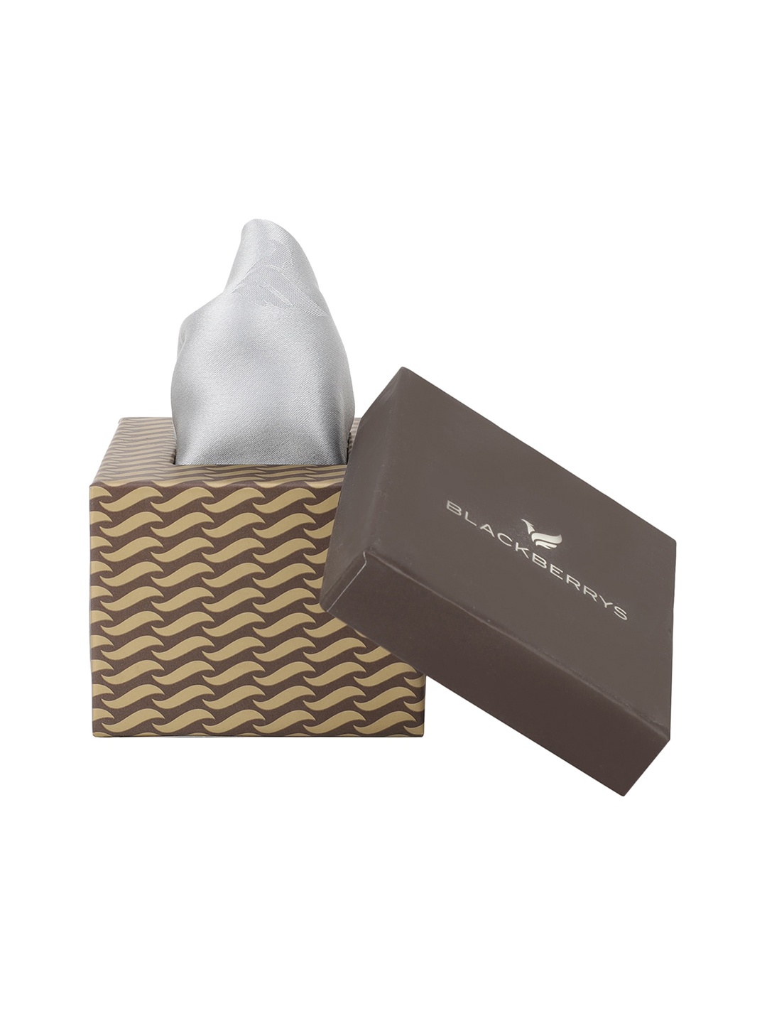 

Blackberrys Men Black Printed Pocket Squares