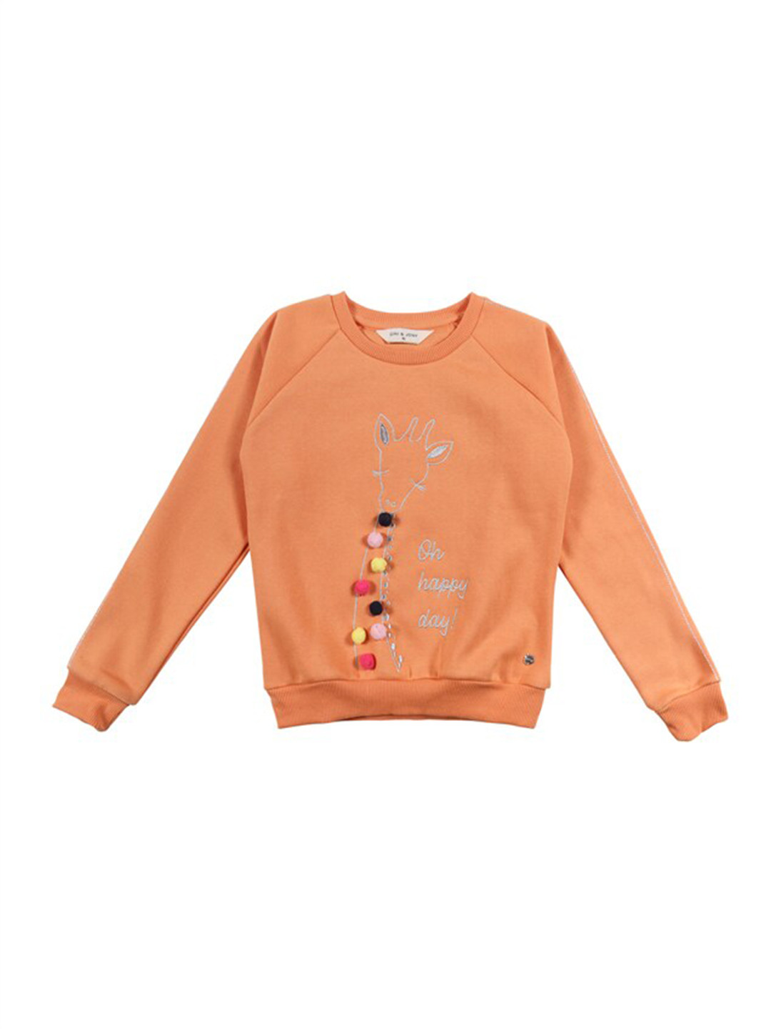 

Gini and Jony Girls Orange Embroidered Sweatshirt