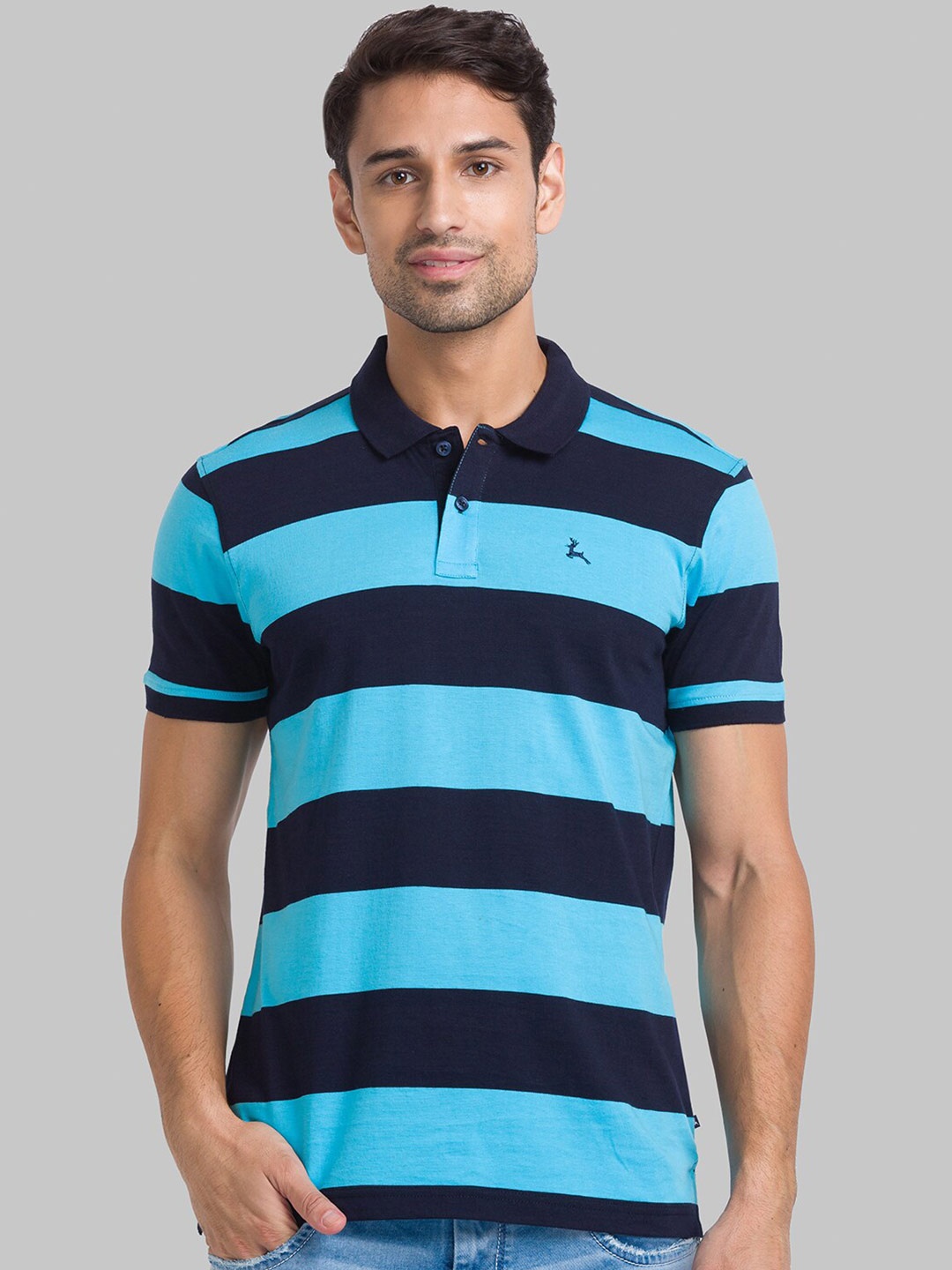 

Parx Men Blue Striped Polo Collar T-shirt