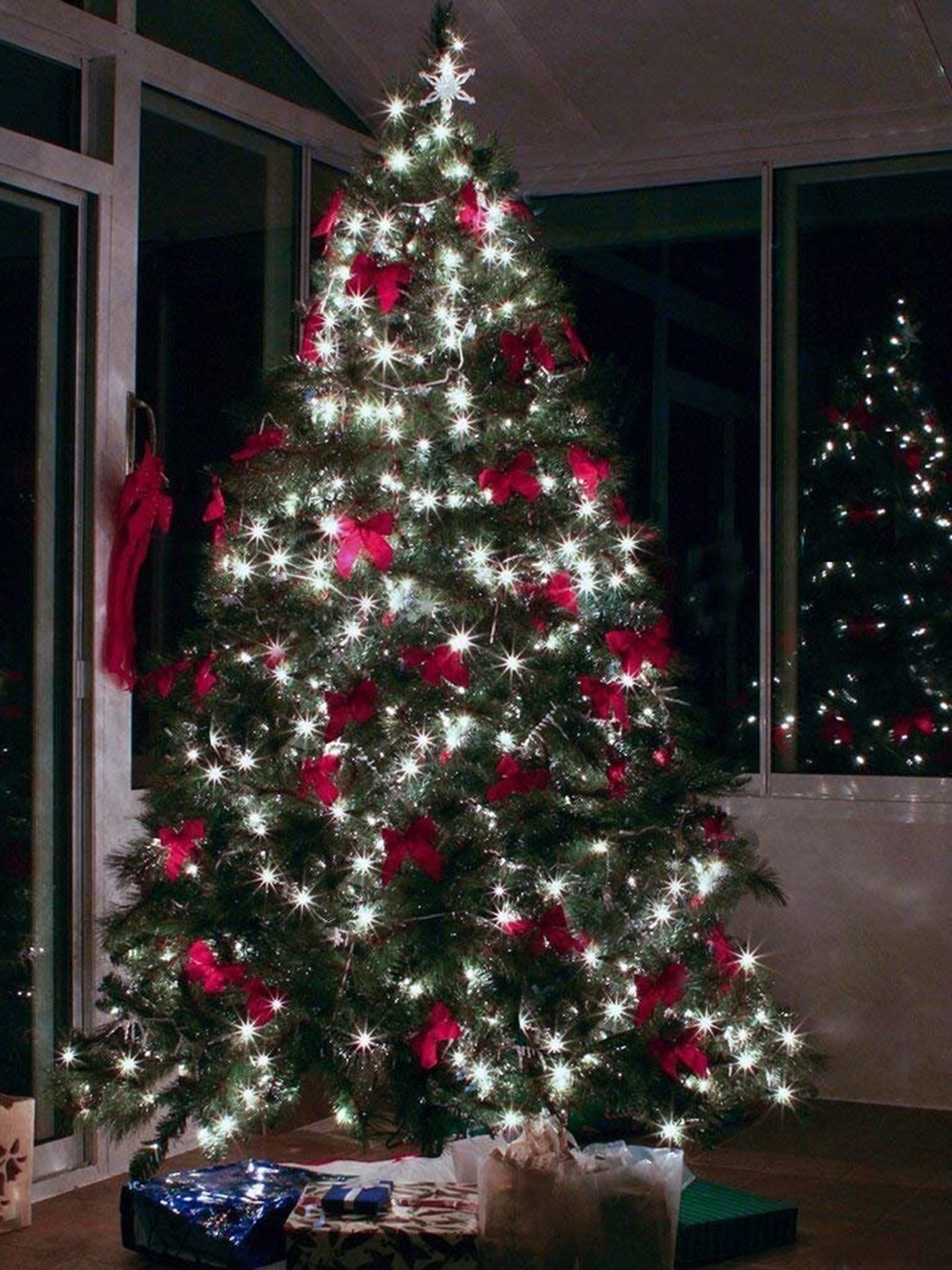 

XERGY White LED String Lights