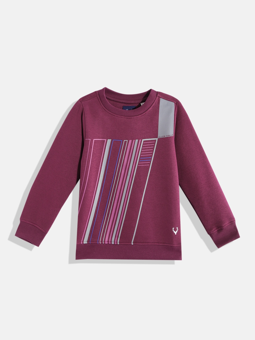 

Allen Solly Junior Boys Burgundy & Grey Striped Sweatshirt