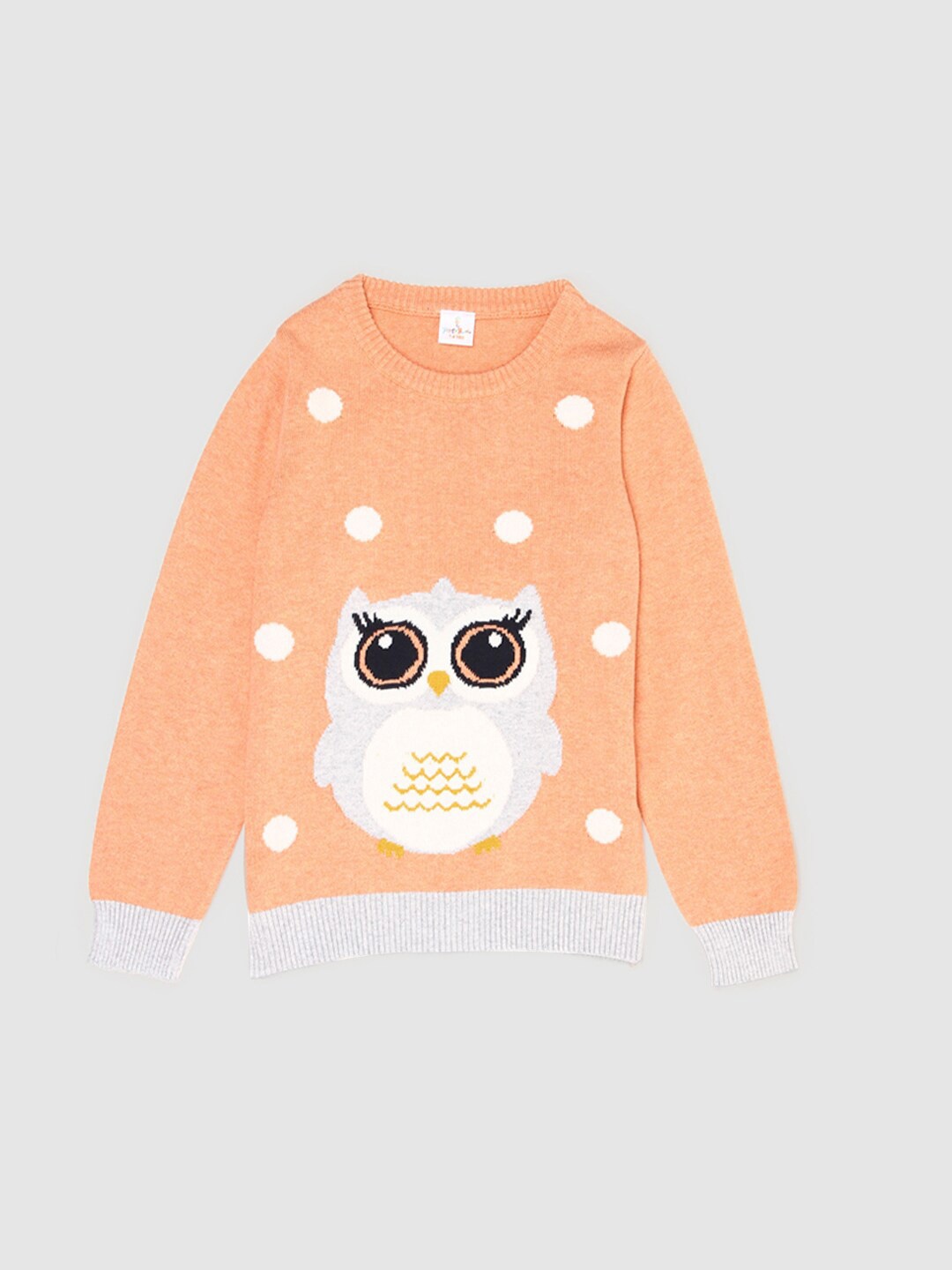 

PORTOBELLO Girls Peach-Coloured & Grey Printed Pullover