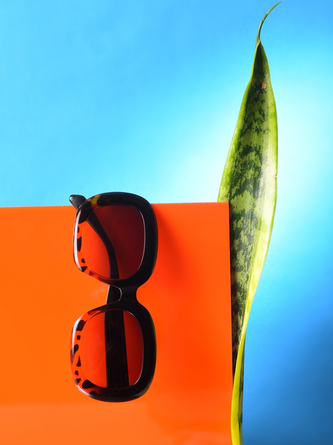 

HAUTE SAUCE by Campus Sutra Women Black Lens & Black Wayfarer Sunglasses with Polarised Lens, Multi