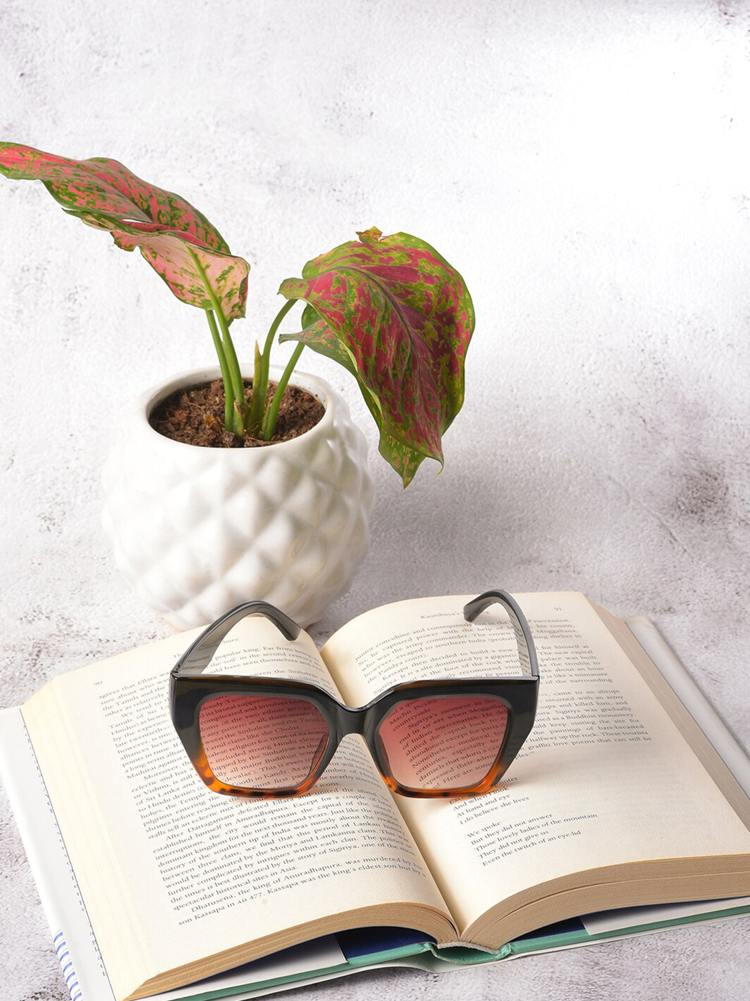 

HAUTE SAUCE by Campus Sutra Women Brown Lens & Black Butterfly Sunglasses with Polarised Lens