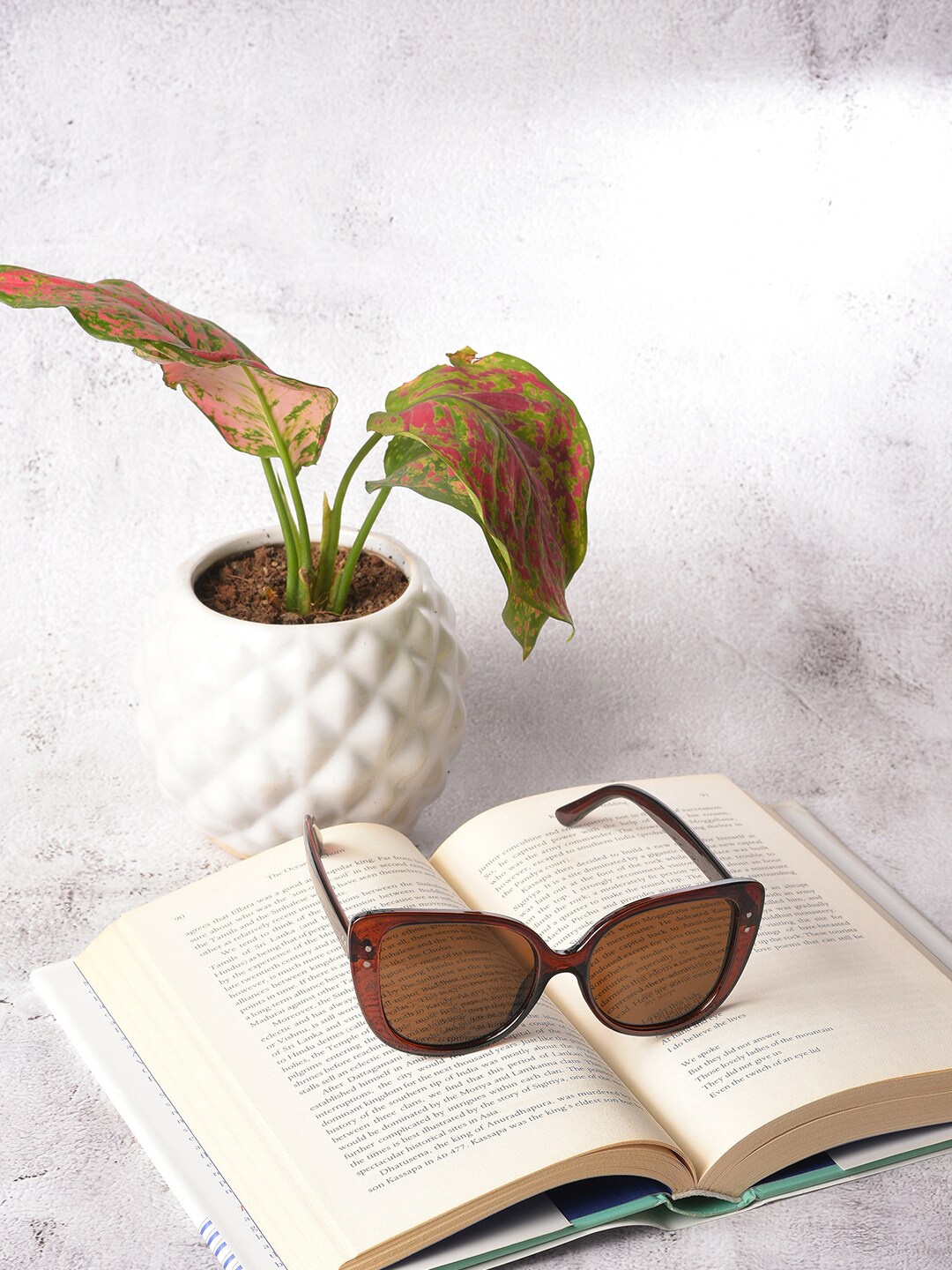 

HAUTE SAUCE by Campus Sutra Women Brown Lens & Brown Butterfly Sunglasses with UV Protected Lens