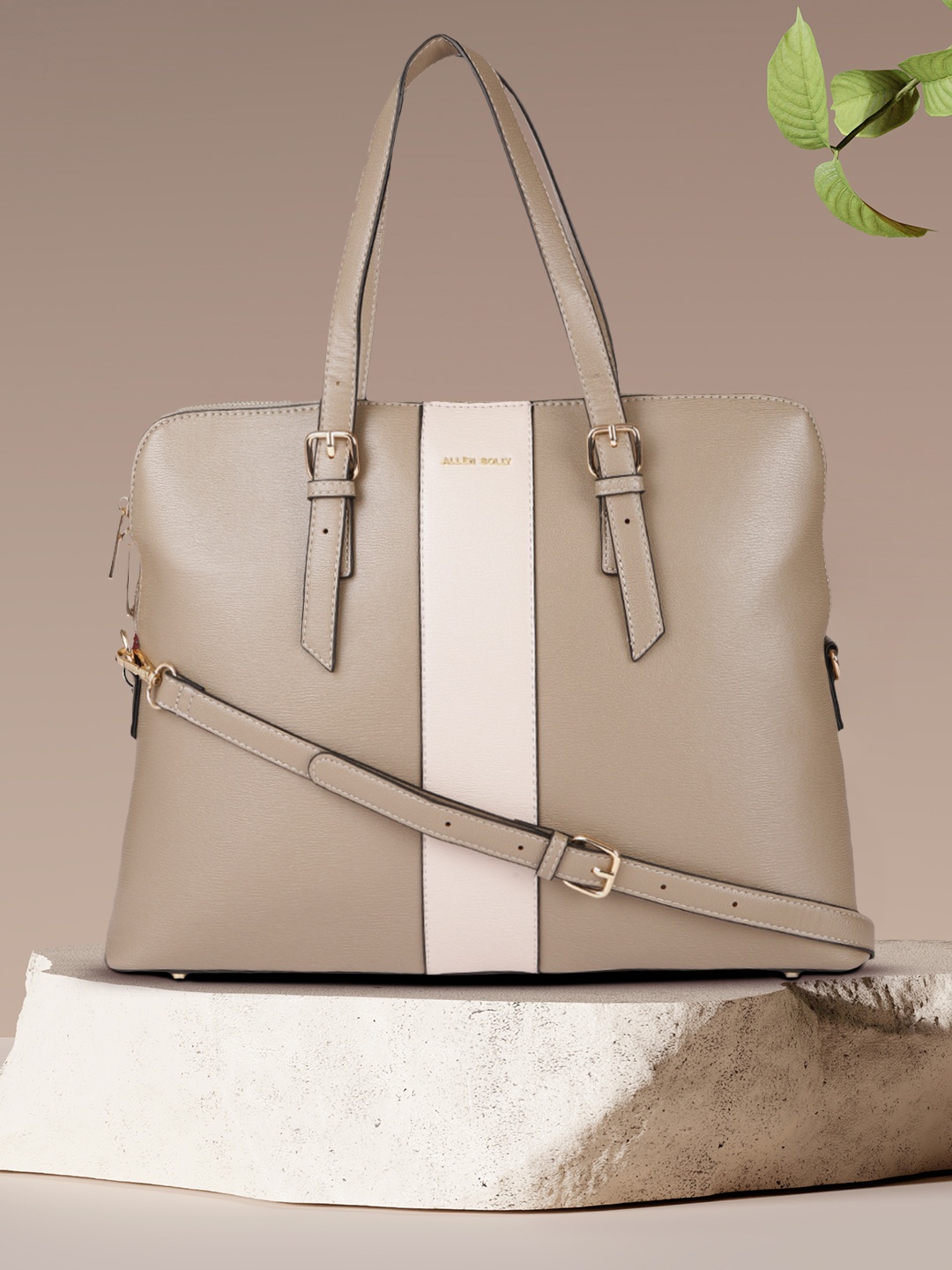 

Allen Solly Women Taupe Solid Structured Handheld Bag