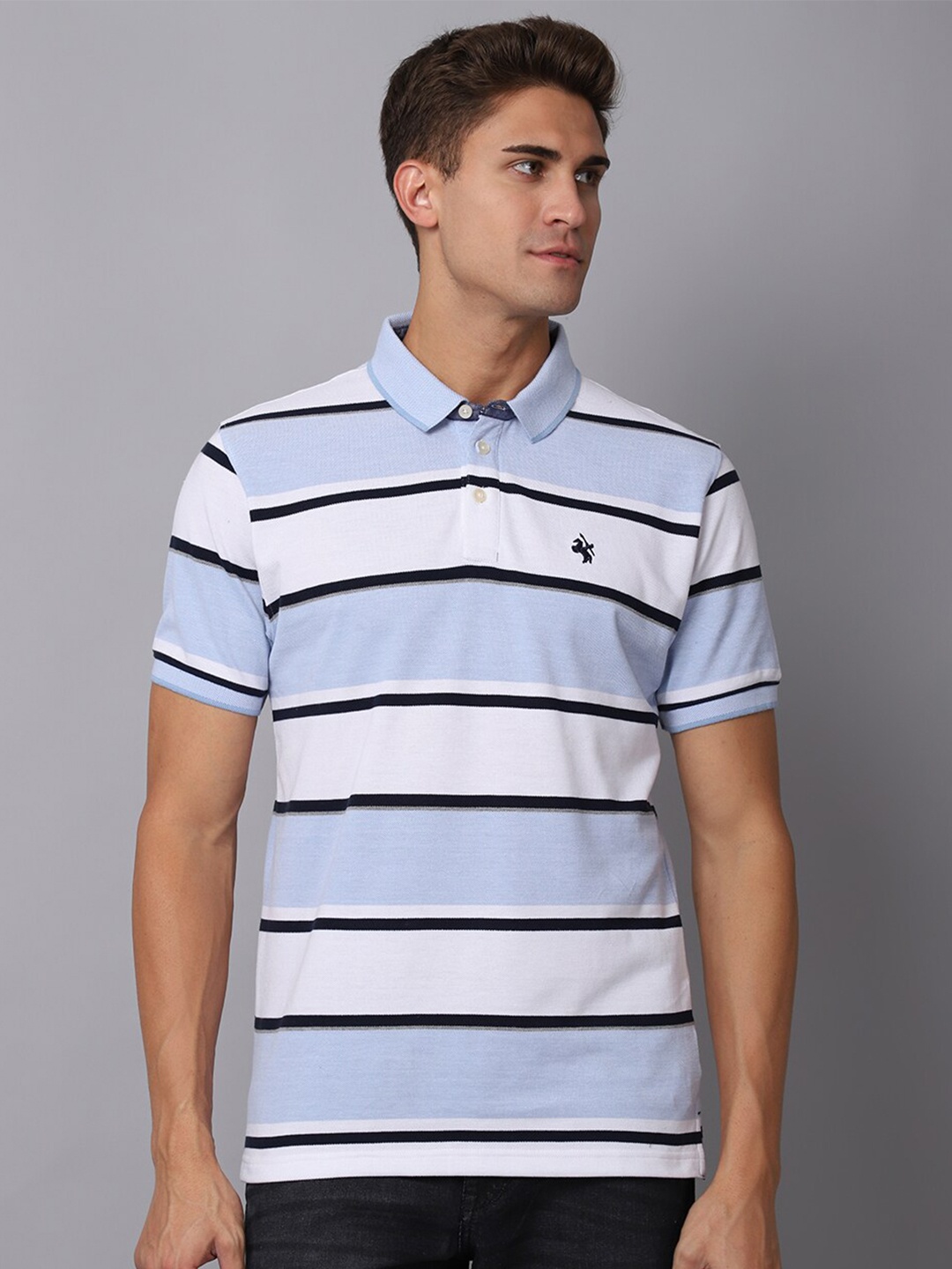 

Cantabil Men Blue & christmas silver Striped Polo Collar T-shirt