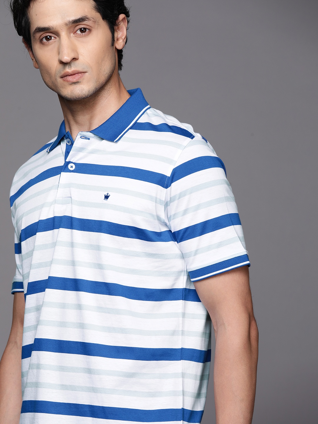 

Louis Philippe Men White & Blue Pure Cotton Striped Polo Collar T-shirt