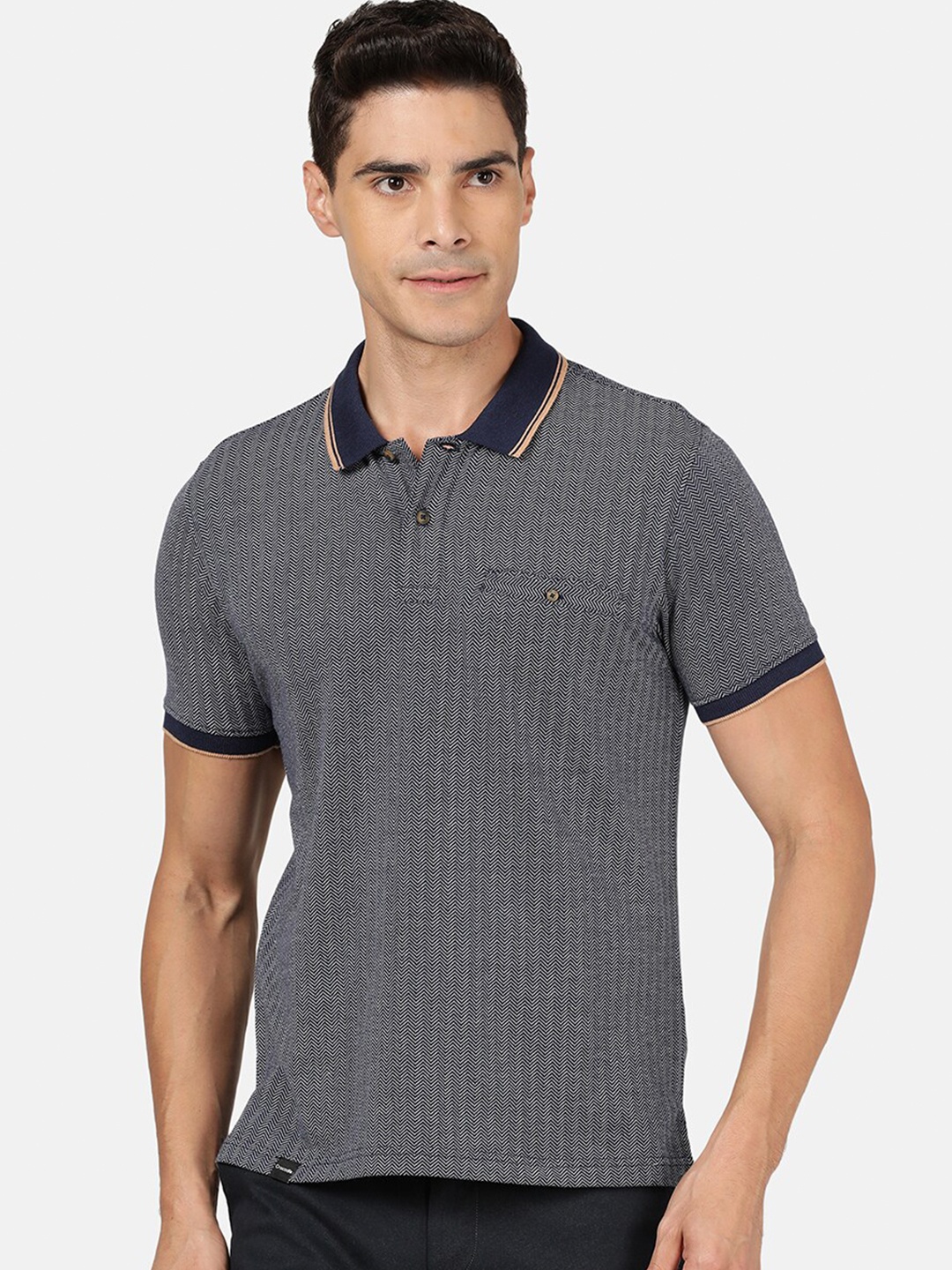 

Crocodile Men Grey & agave green Striped Polo Collar Slim Fit T-shirt