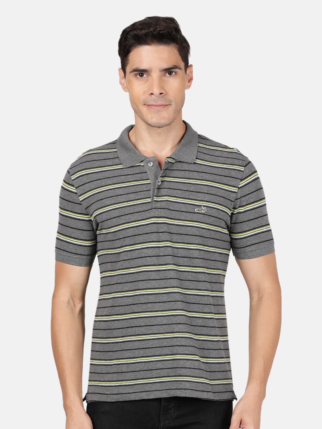 

Crocodile Men Grey Striped Polo Collar Slim Fit T-shirt