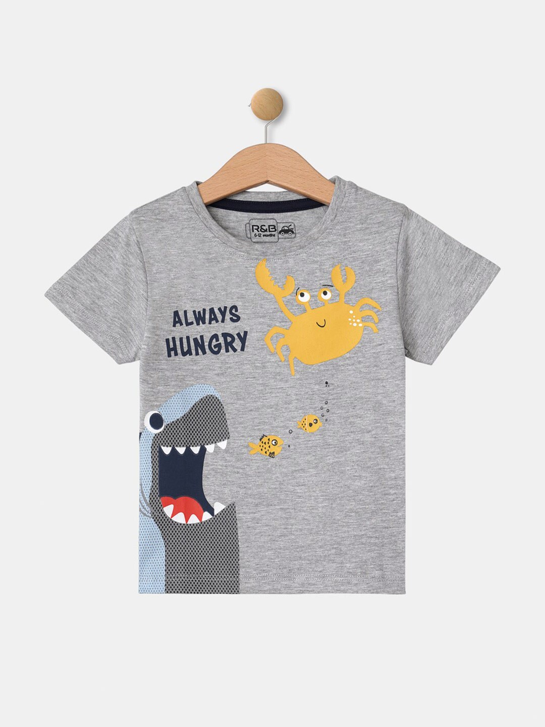 

R&B Boys Grey & iris Printed Applique T-shirt