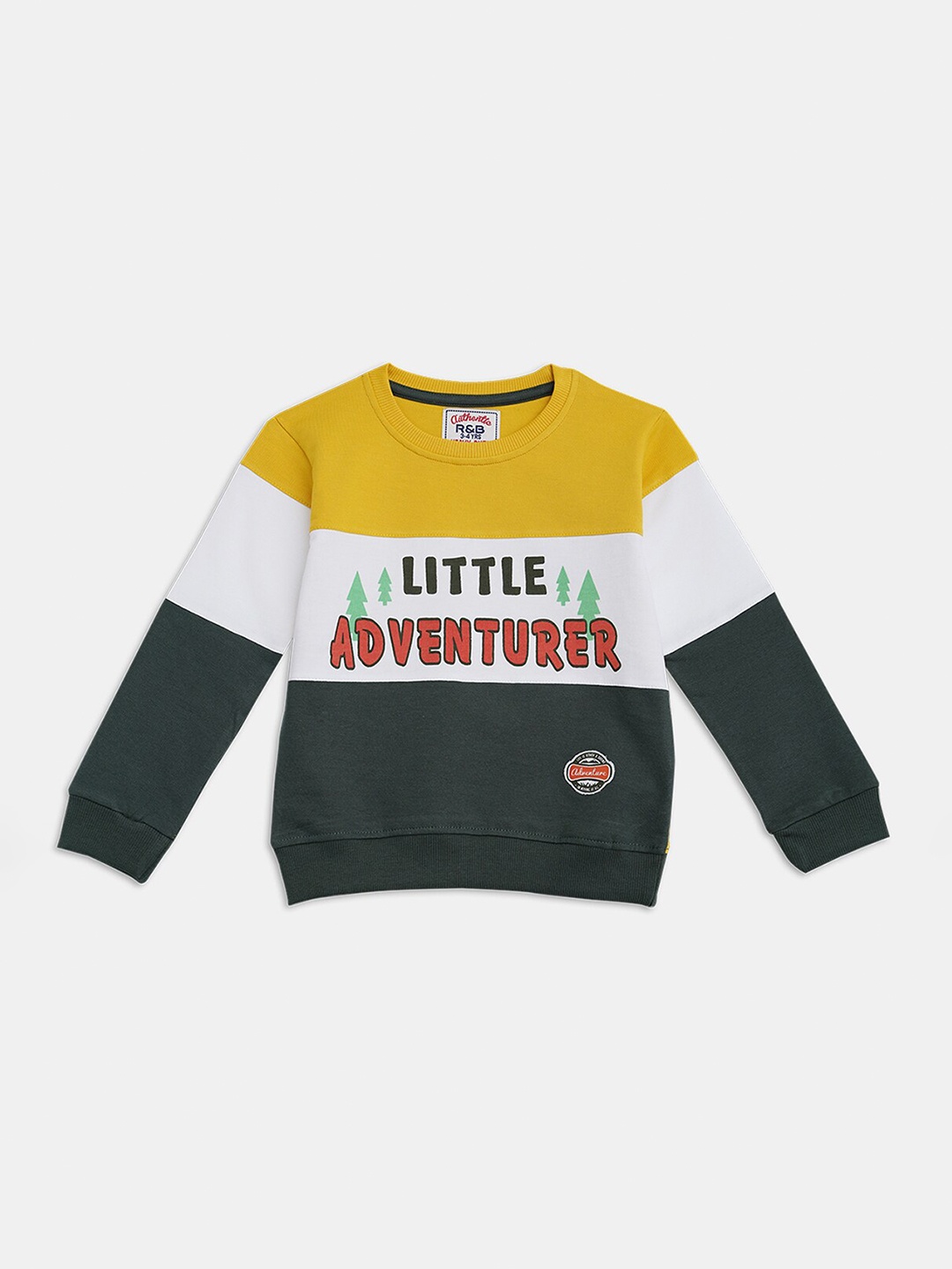 

R&B Boys Yellow Colourblocked Sweatshirt