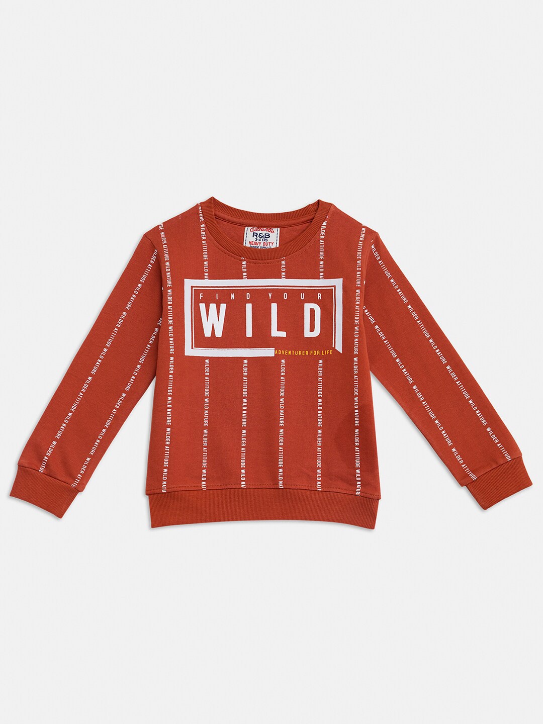

R&B Boys Brown Printed Sweatshirt