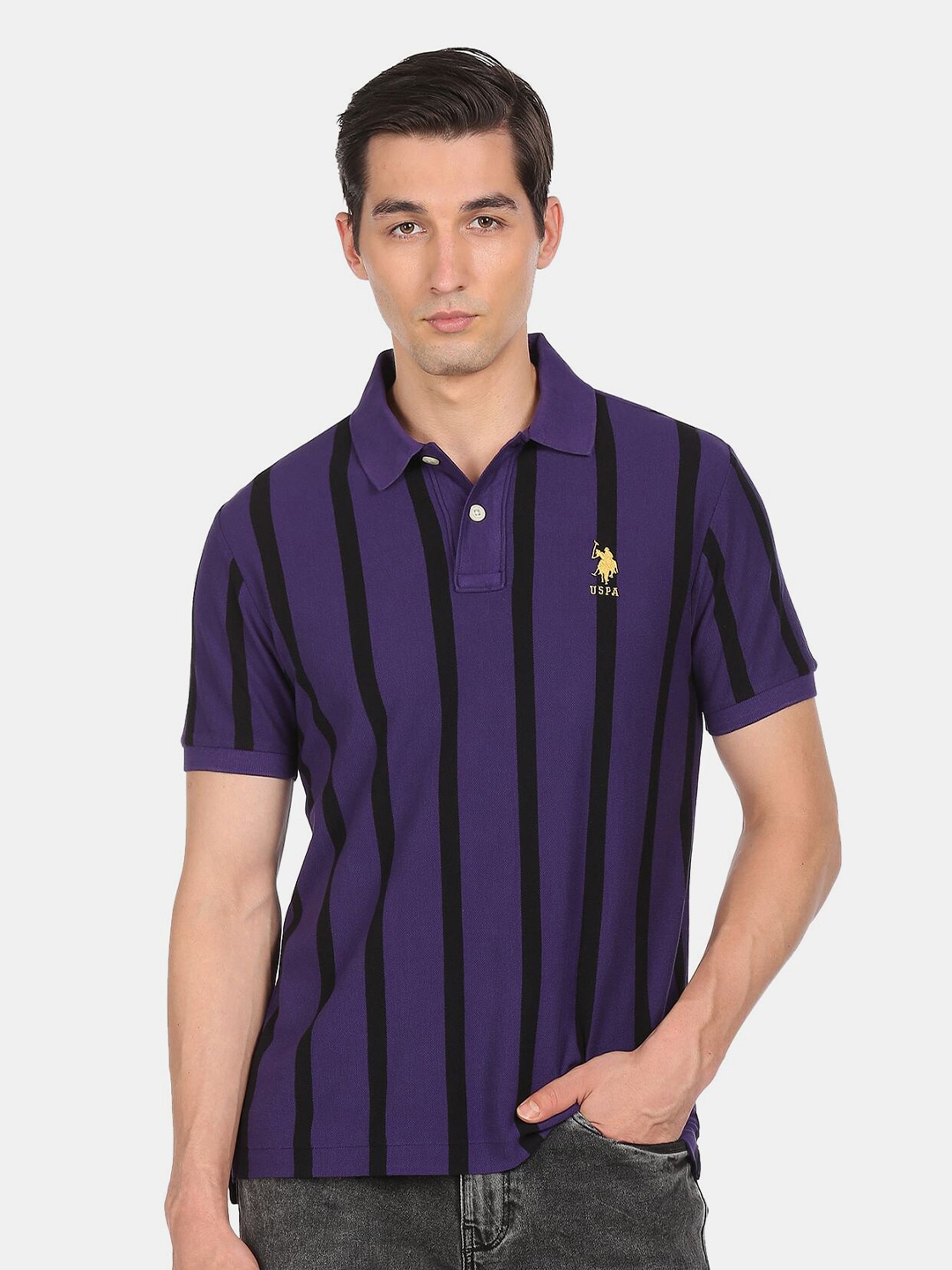 

U S Polo Assn Men Purple Striped Polo Collar Applique T-shirt