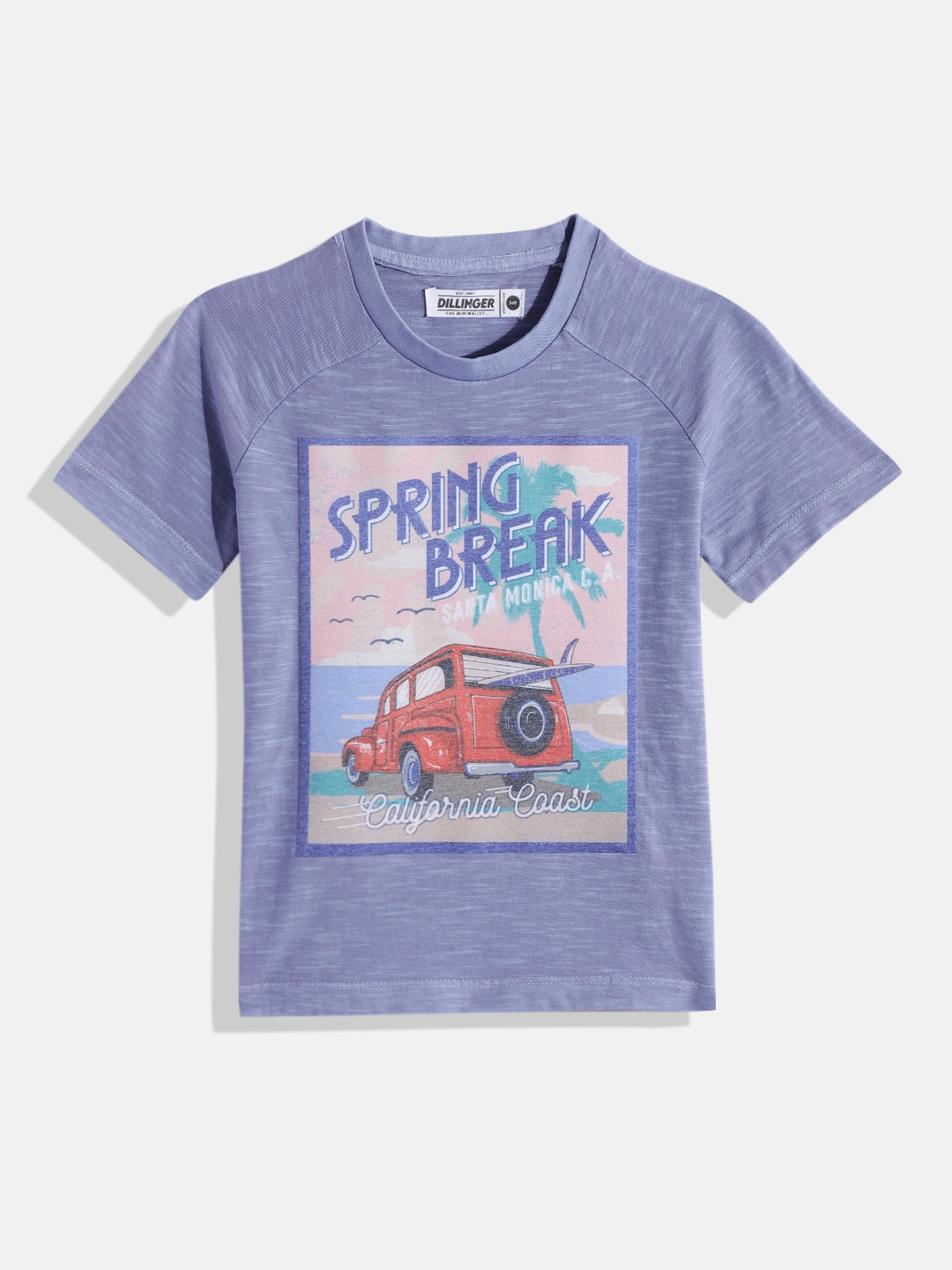 

DILLINGER Boys Blue Printed Cotton T-shirt