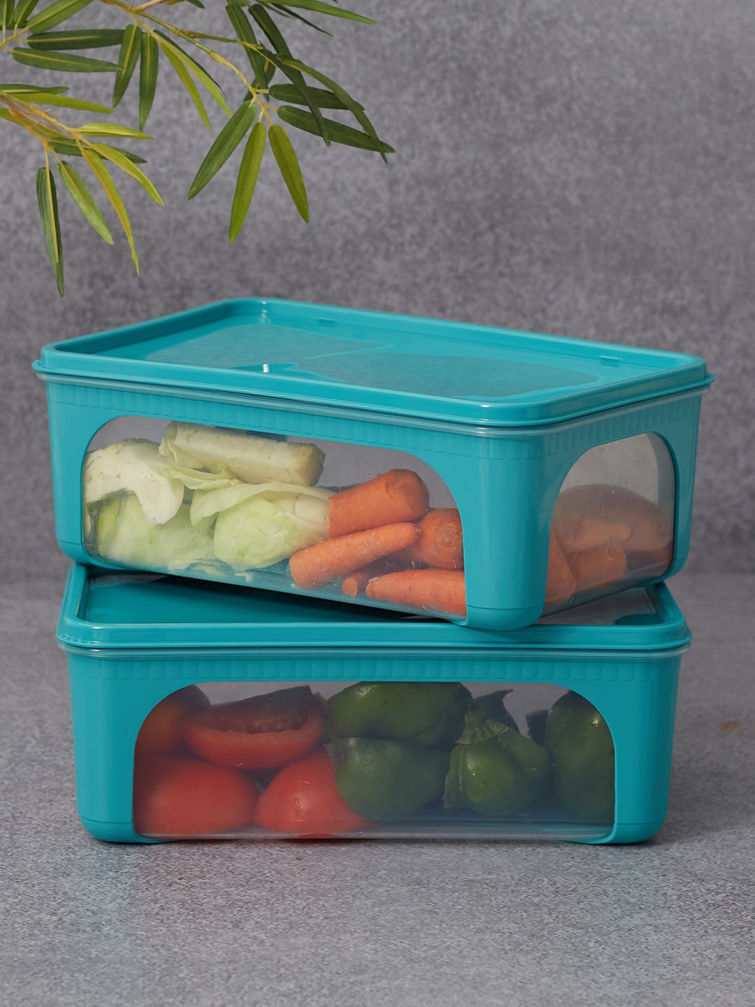 

HomeTown Set Of 2 Transparent & Blue Solid Food Containers