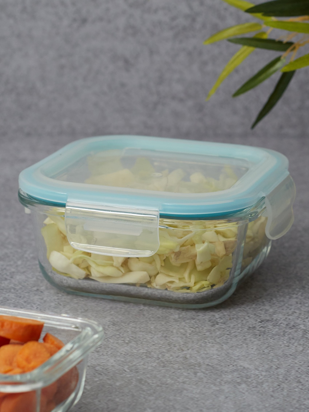

HomeTown Transparent Solid Food Container With Lid