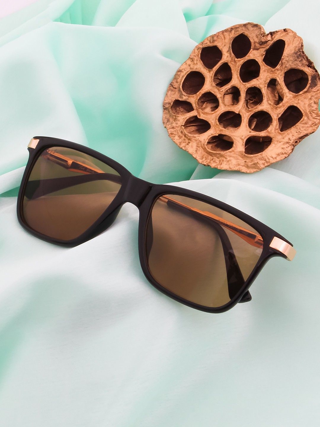 

Ted Smith Unisex Brown Lens & Black Wayfarer Sunglasses with UV Protected Lens