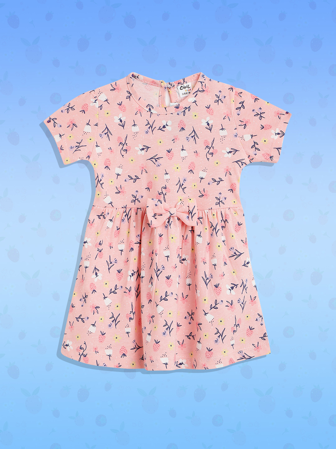 

Civil Pink & Blue Floral A-Line Dress