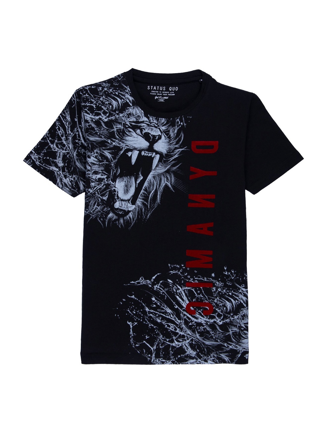 

Status Quo Boys Black Printed V-Neck Applique T-shirt