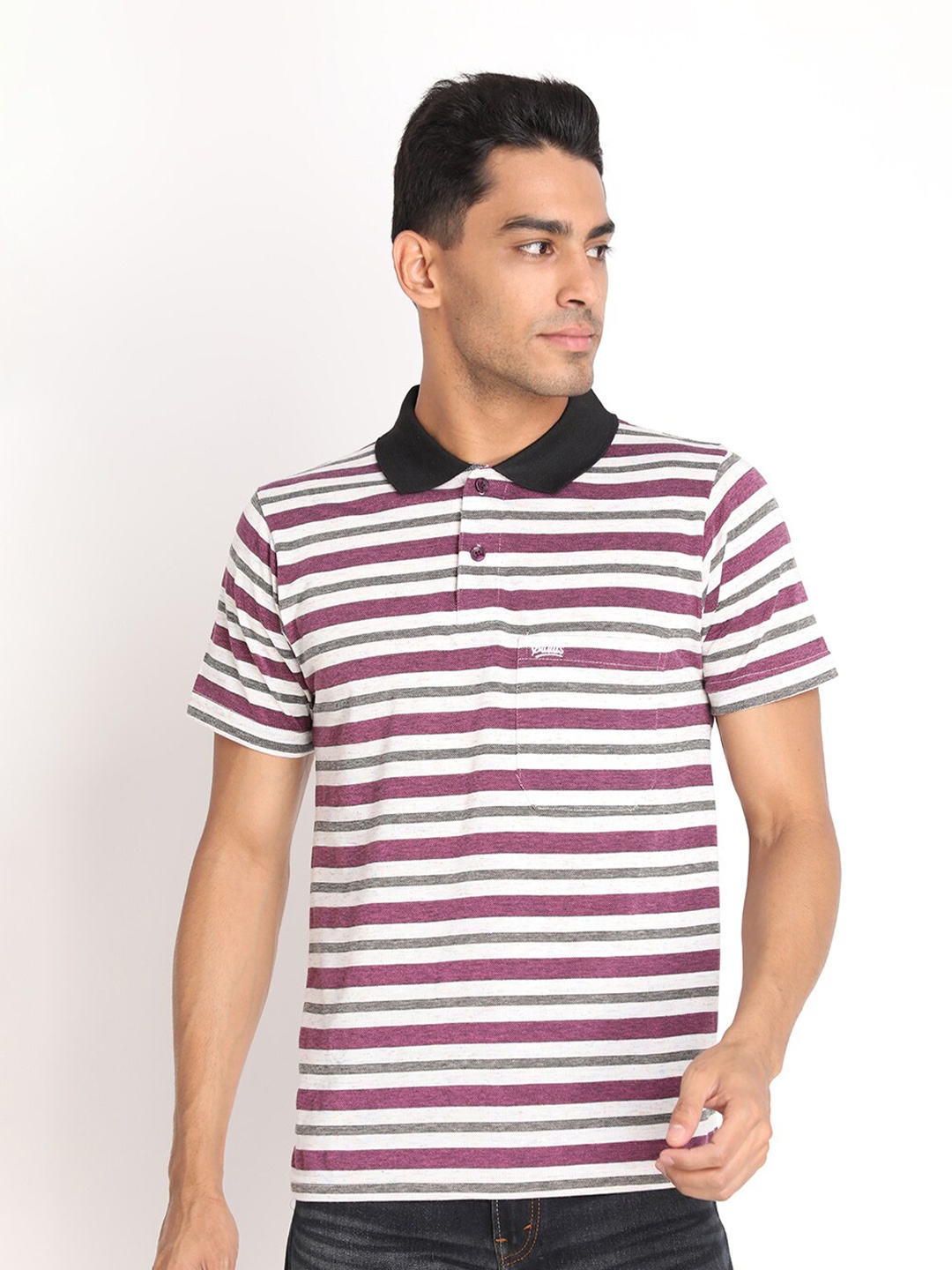 

PROTEX Men Mauve & cultured Striped Polo Collar T-shirt