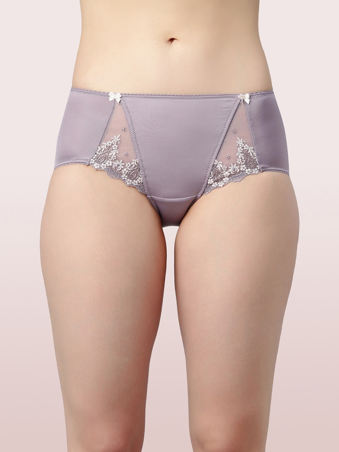 

Enamor Women Lavender-Colored Solid Basic Briefs