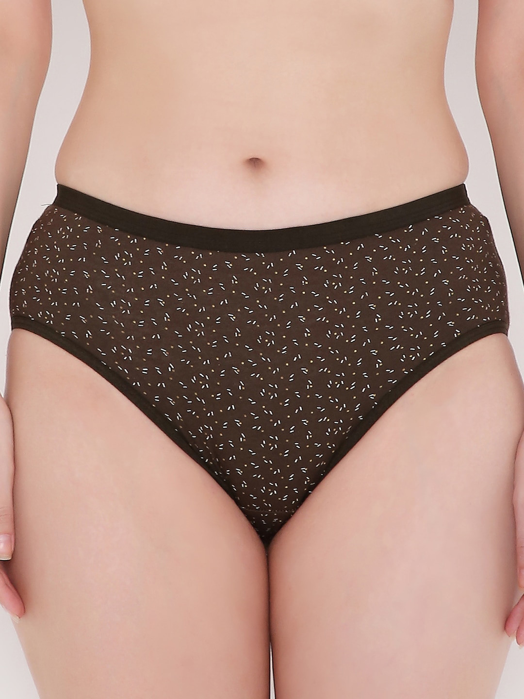 

Berrys Intimatess Women Brown Solid Cotton Hipster Briefs