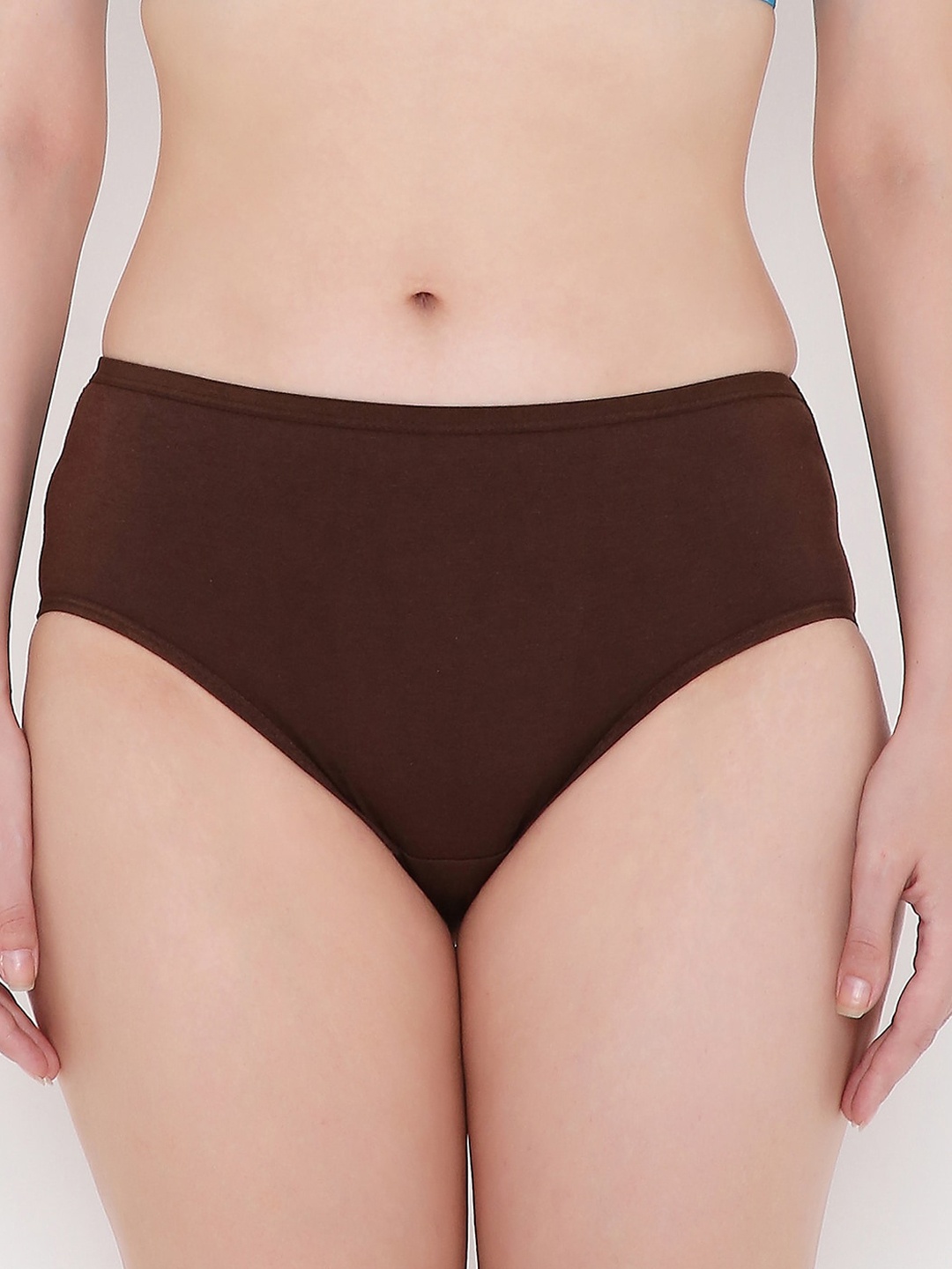 

Berrys Intimatess Women Brown Solid Cotton Hipster Briefs