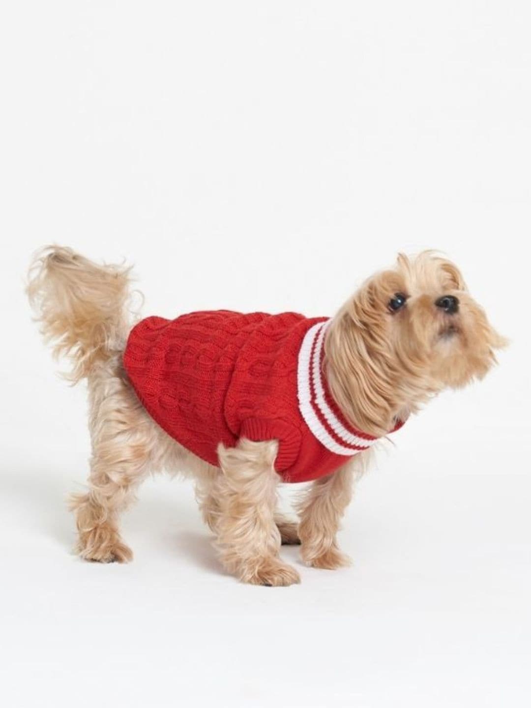 

thepawpstarco Red Self Design Wool Dog Sweater