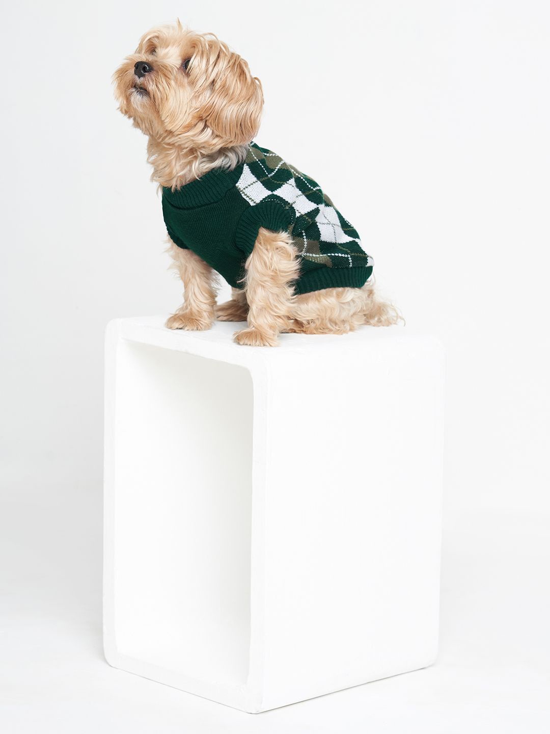 

thepawpstarco Green & White Checked Dog Sweaters