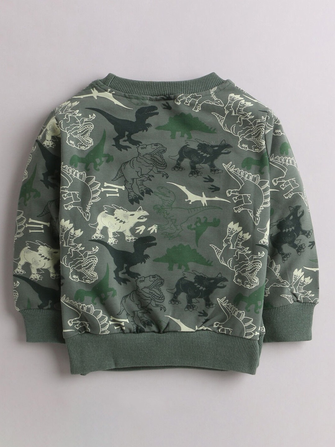 

Hopscotch Boys Green Printed Sweatshirt