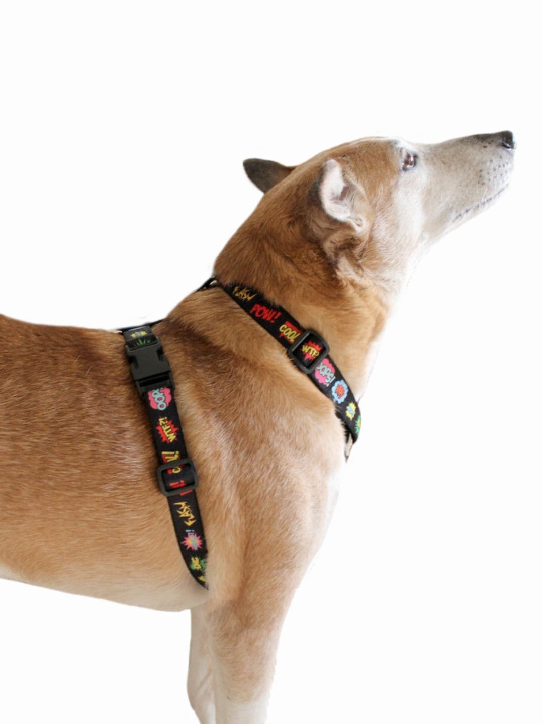 

LANA PAWS Black & Yellow Printed Dog Harnesses
