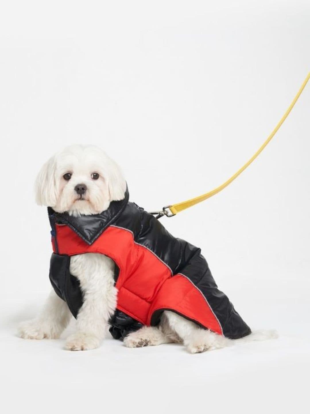 

thepawpstarco Black & Red Colourblocked Dogs Jackets